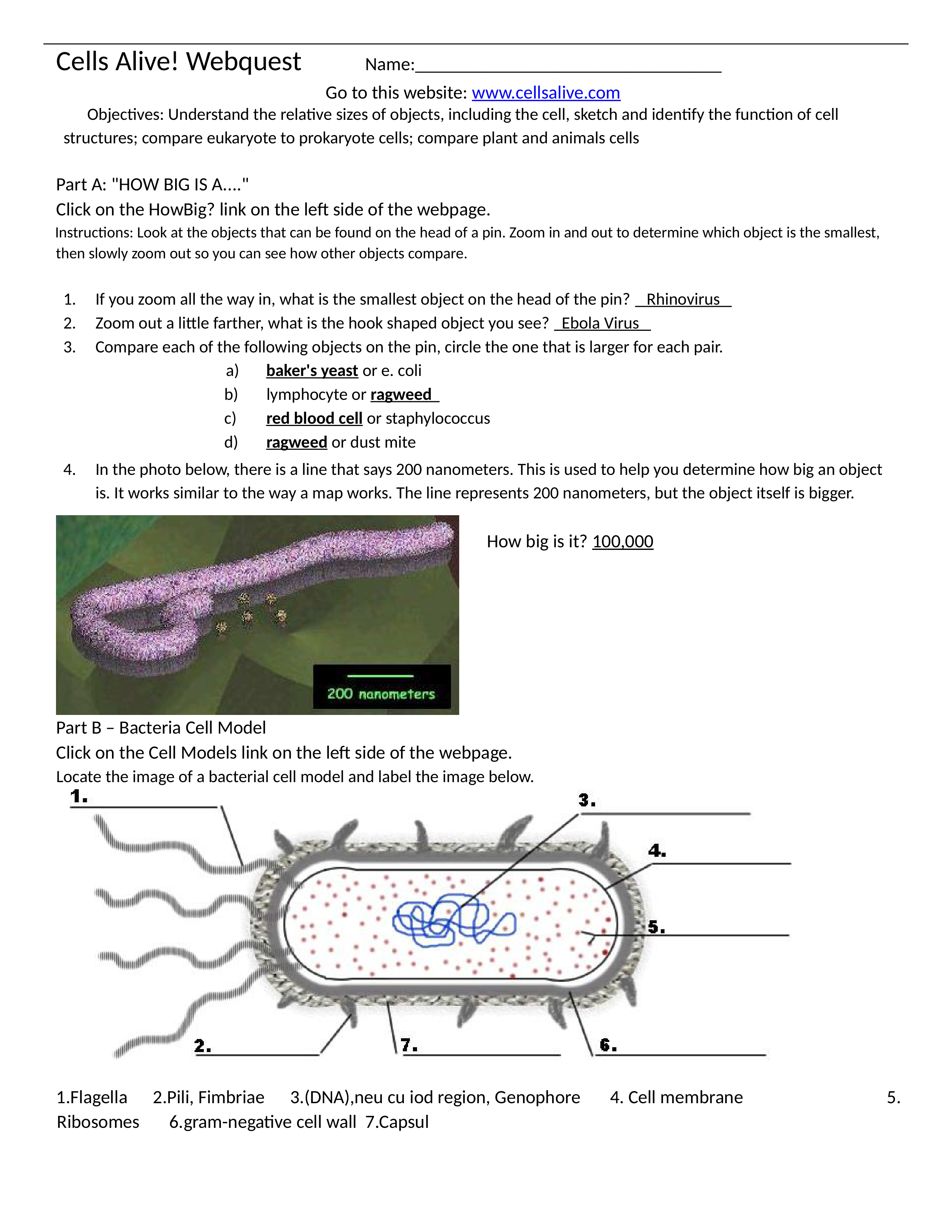 Cells_Alive1.docx_dvbb2fx5ktq_page1