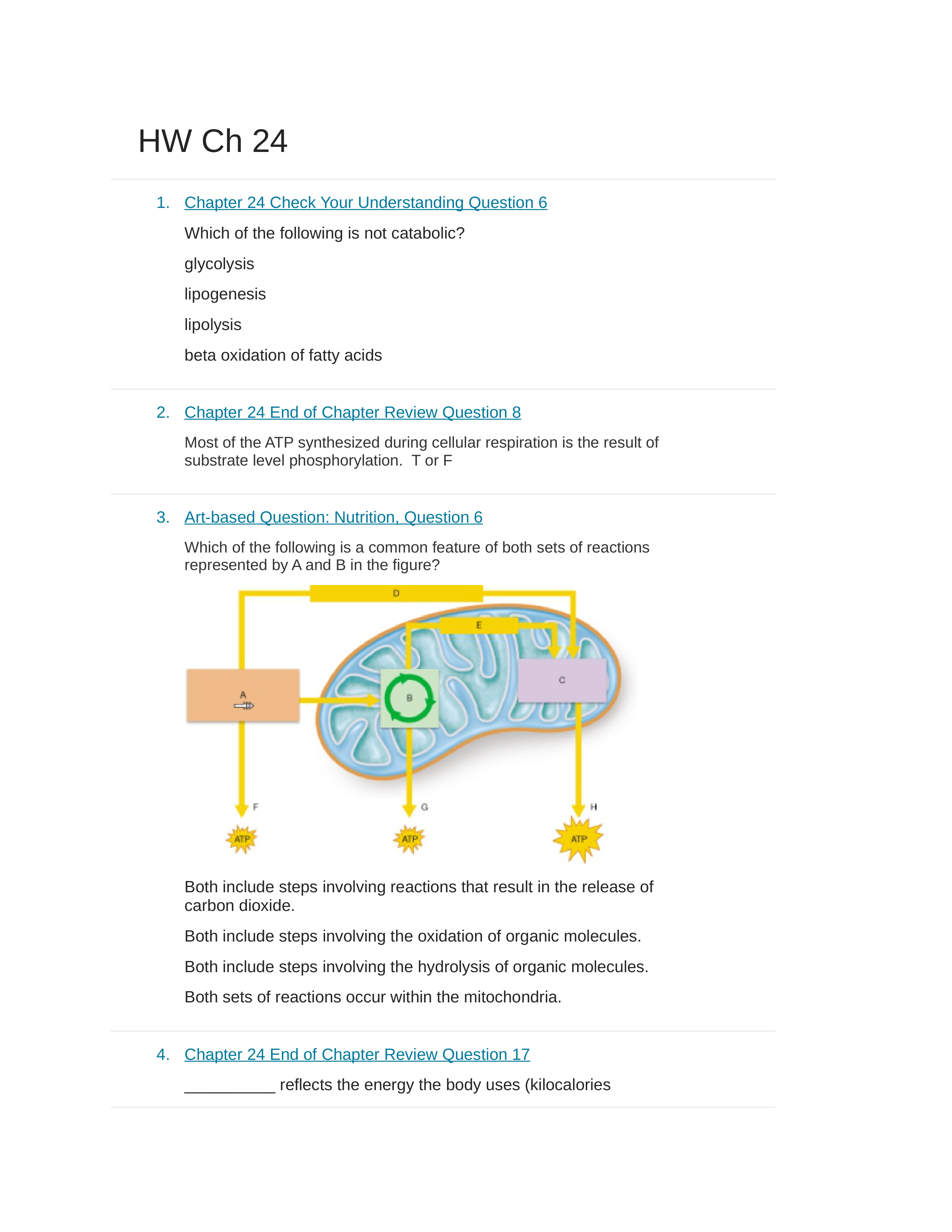 HW Ch 24.docx_dvhl8ufloff_page1