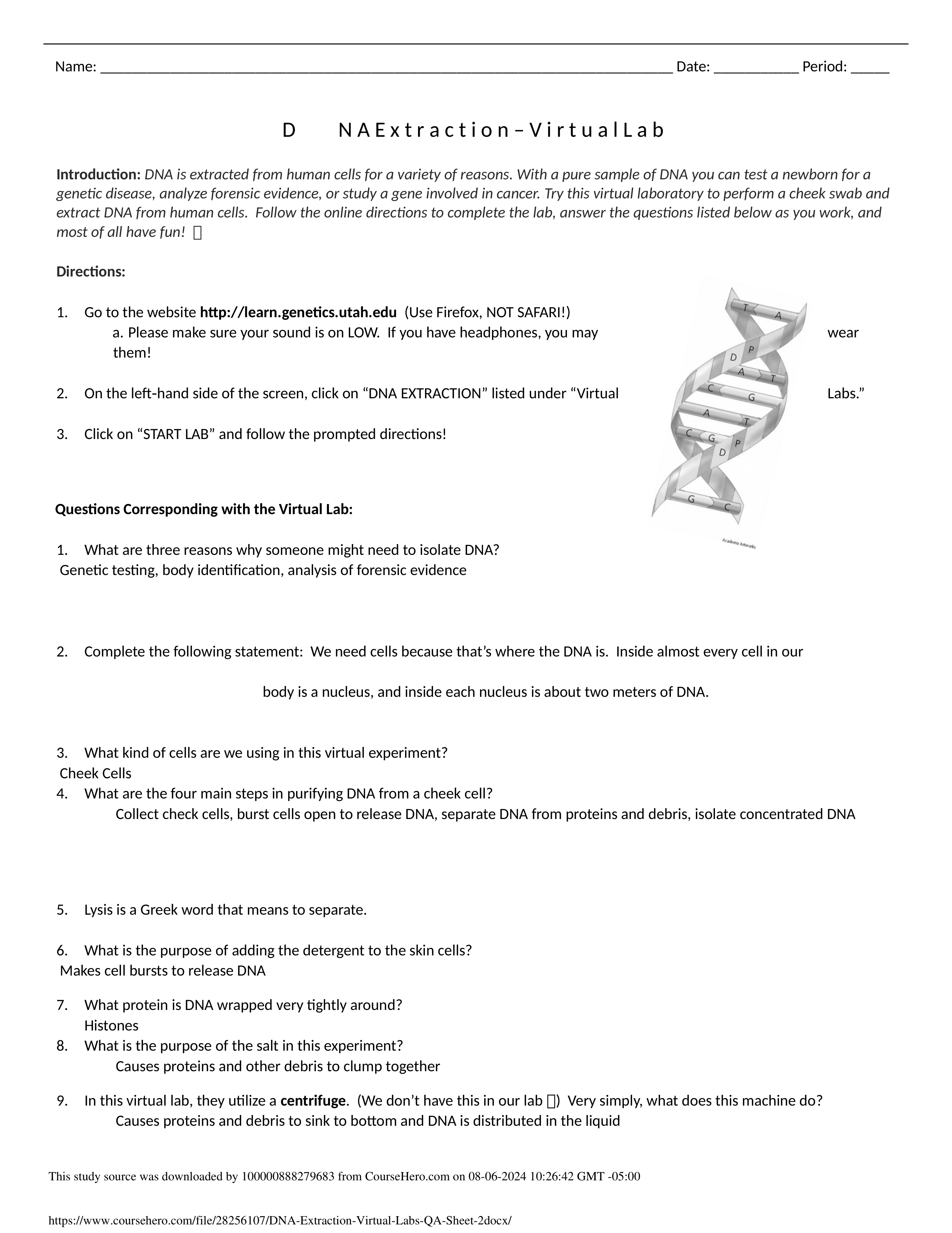 DNA Extraction Virtual Labs Q&A Sheet 2.docx_dvme6ukpqx1_page1