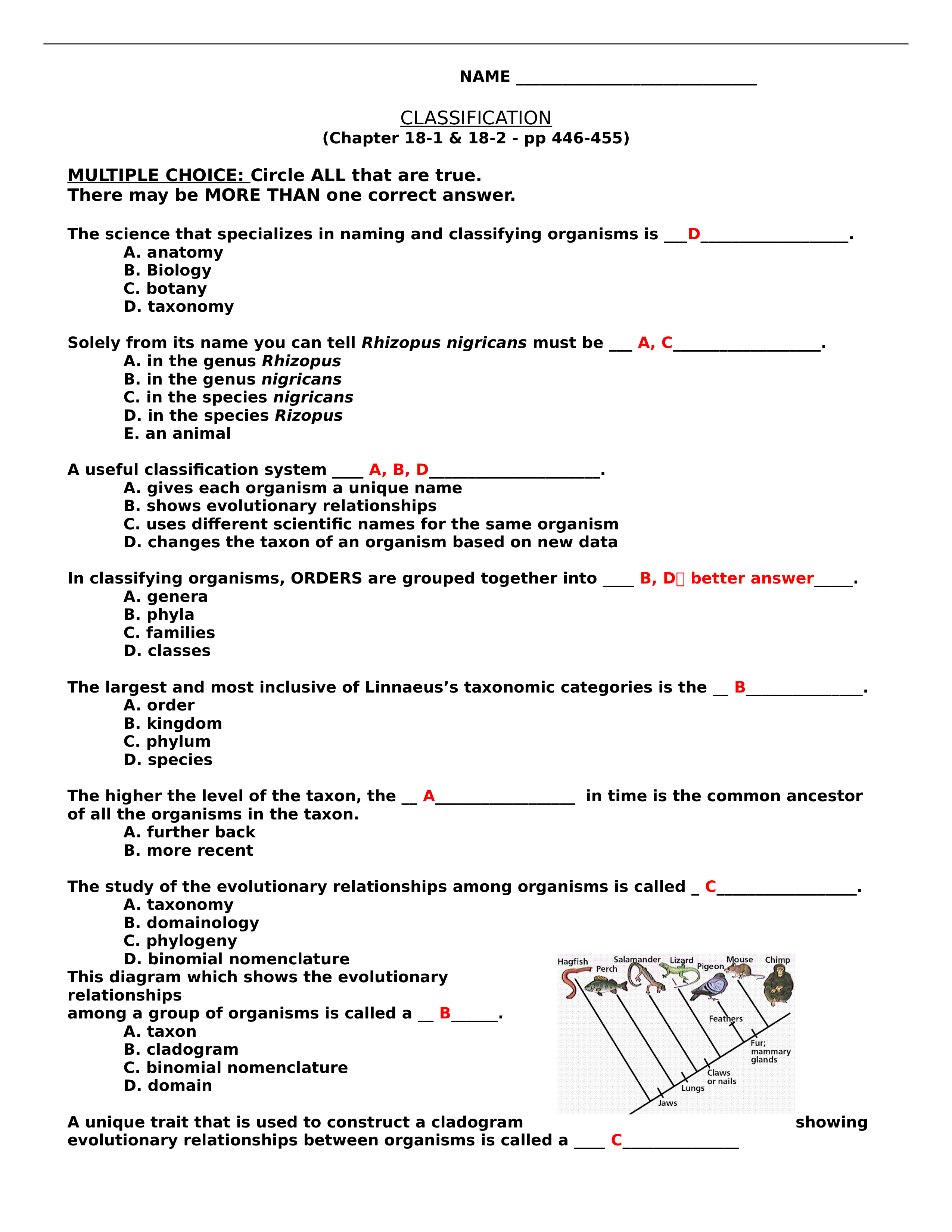 Classification WS.docx_dvni92emckz_page1