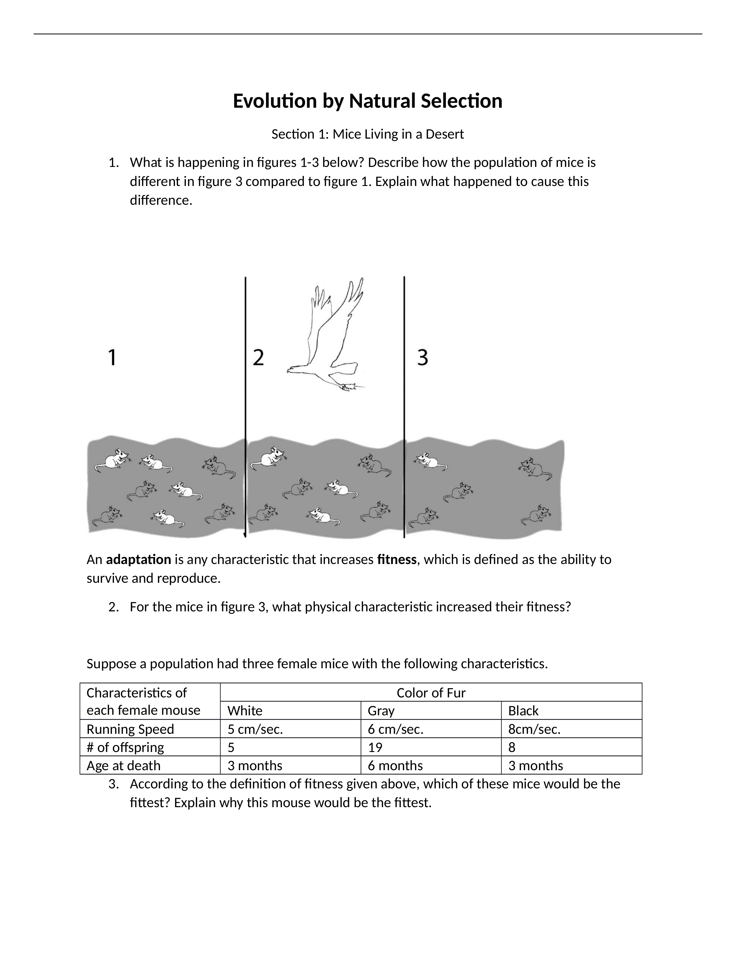 Evolution by Natural Selection worksheet and lab activity.docx_dvs70kyisau_page1