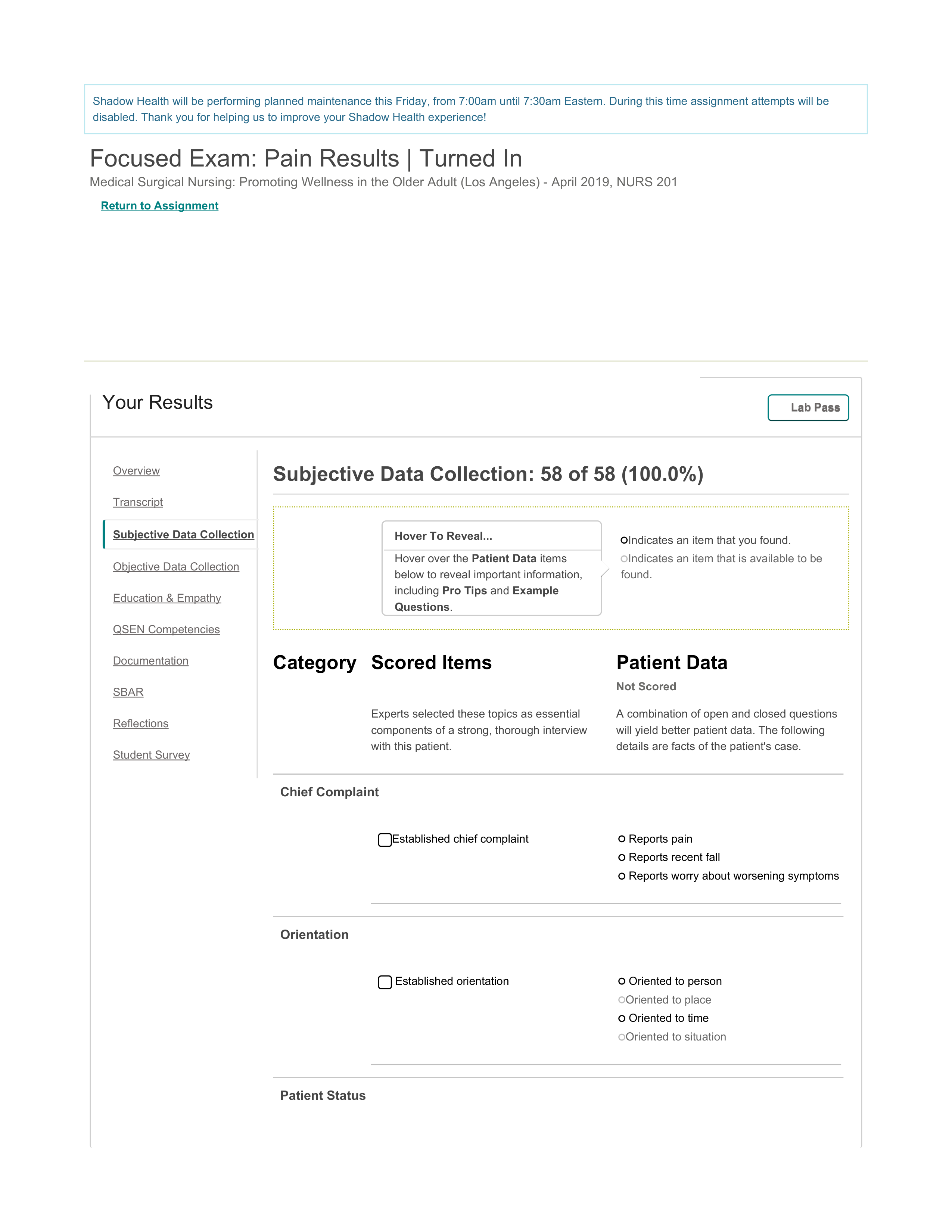 Pain Subjective Data.pdf_dw90shuqoep_page1