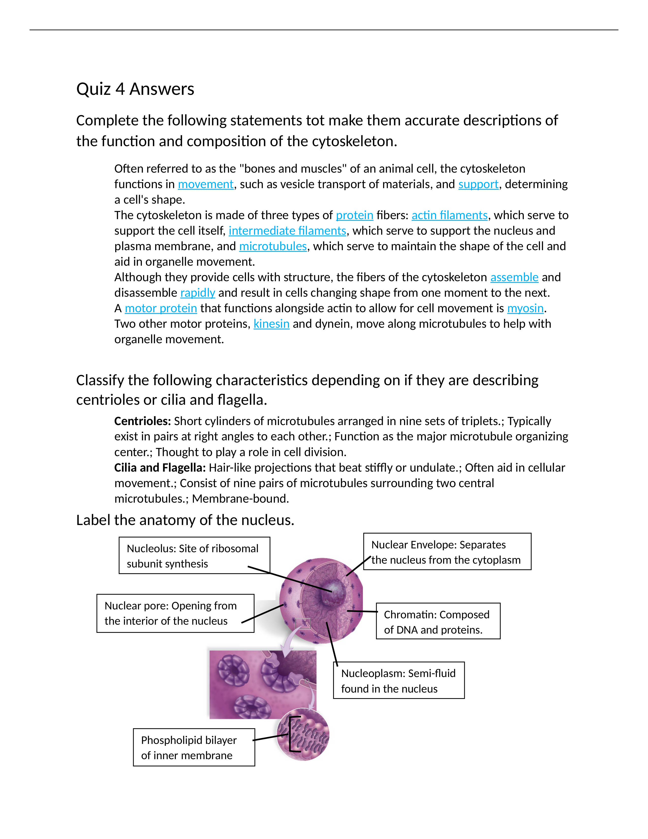 Chapter 4 Quiz.docx_dw9t1o0dp10_page1