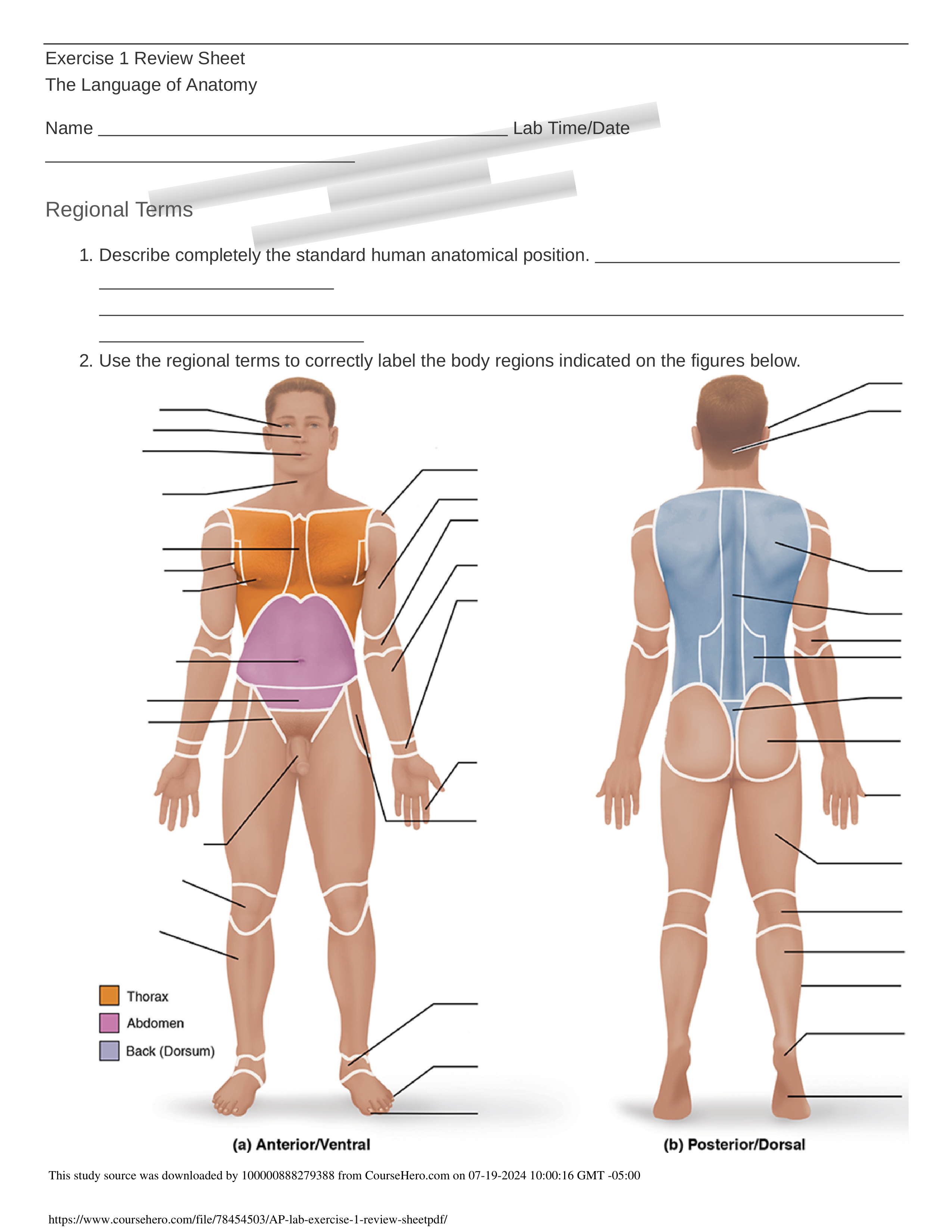 A&P lab exercise 1 review sheet.pdf_dwngu4wtz9i_page1