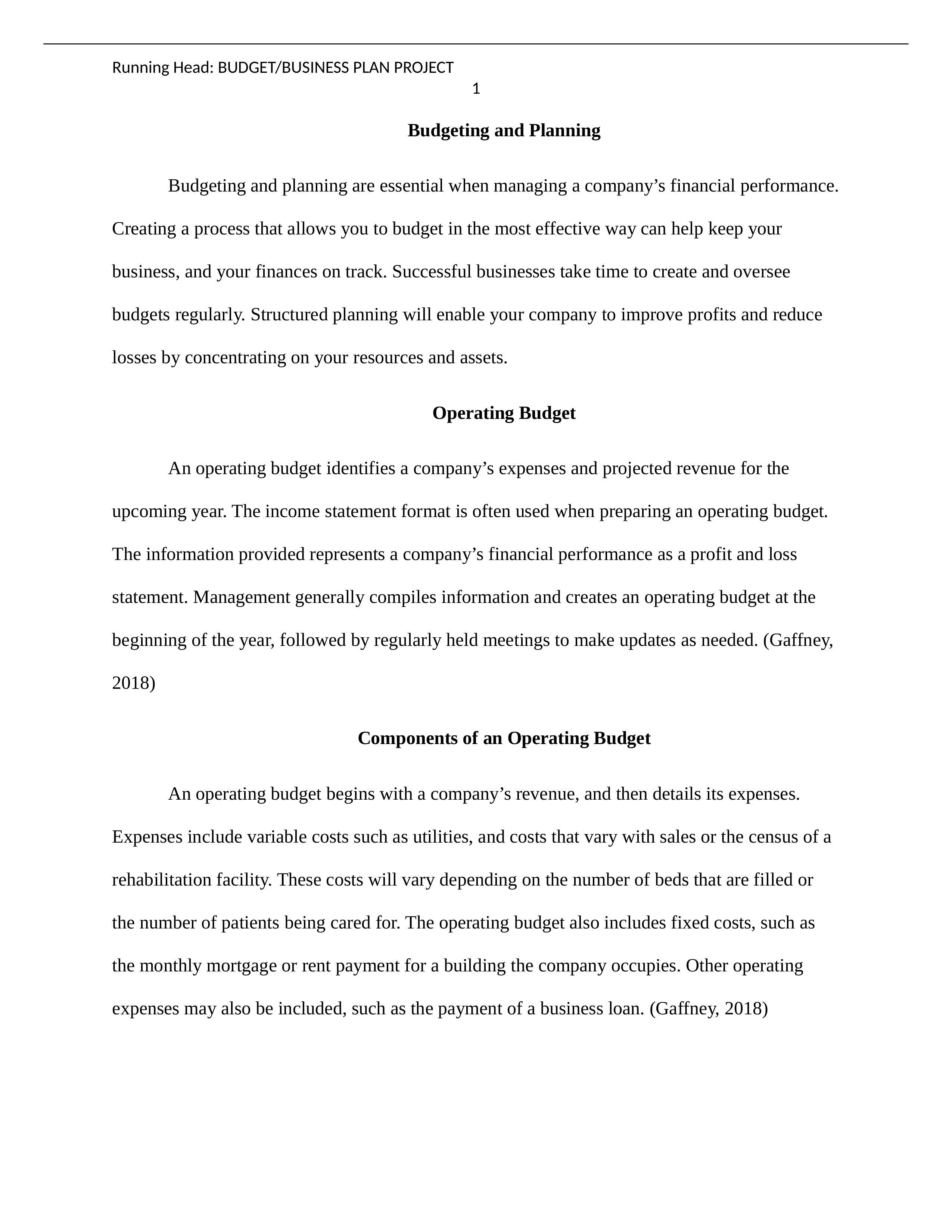 Budget:Business Plan Project.docx_dwpazcg3ox4_page1