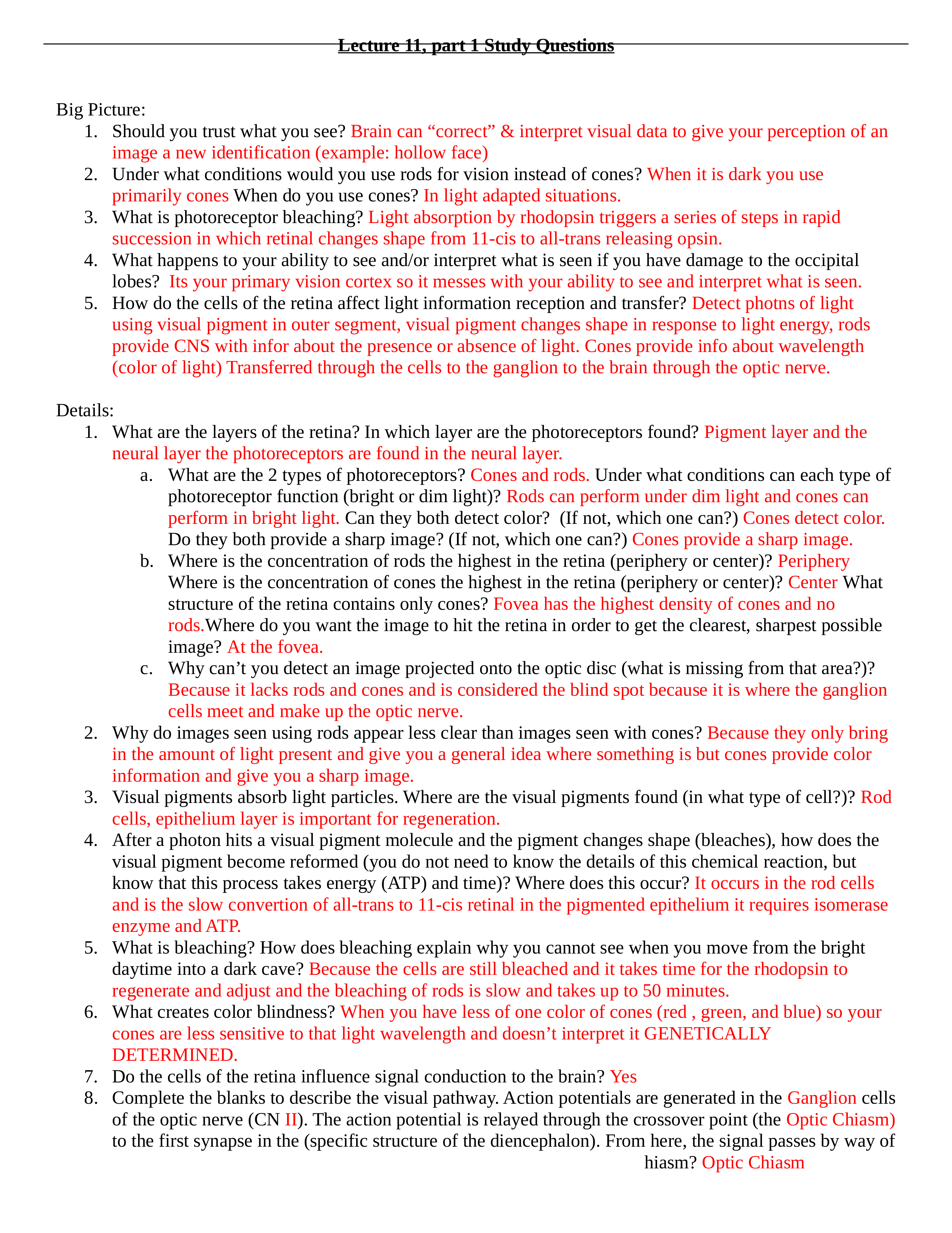 Study Questions 16_dwt9346jtzg_page1