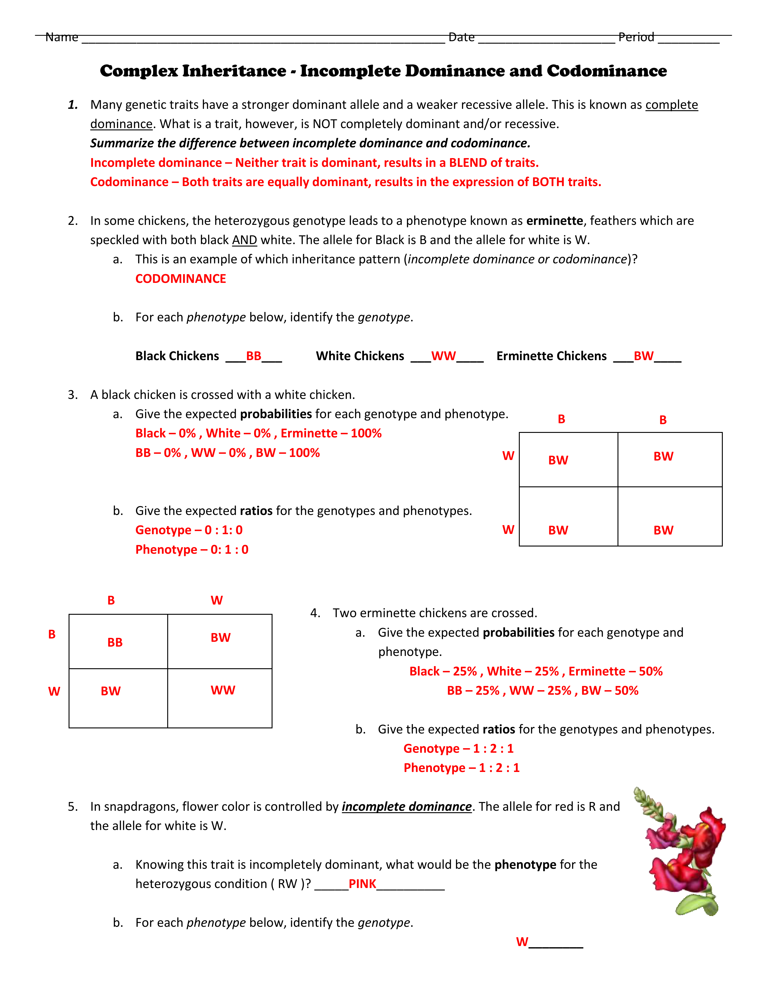 codominance-and-incomplete-dominance-key-2_dx0uhrrjzcf_page1