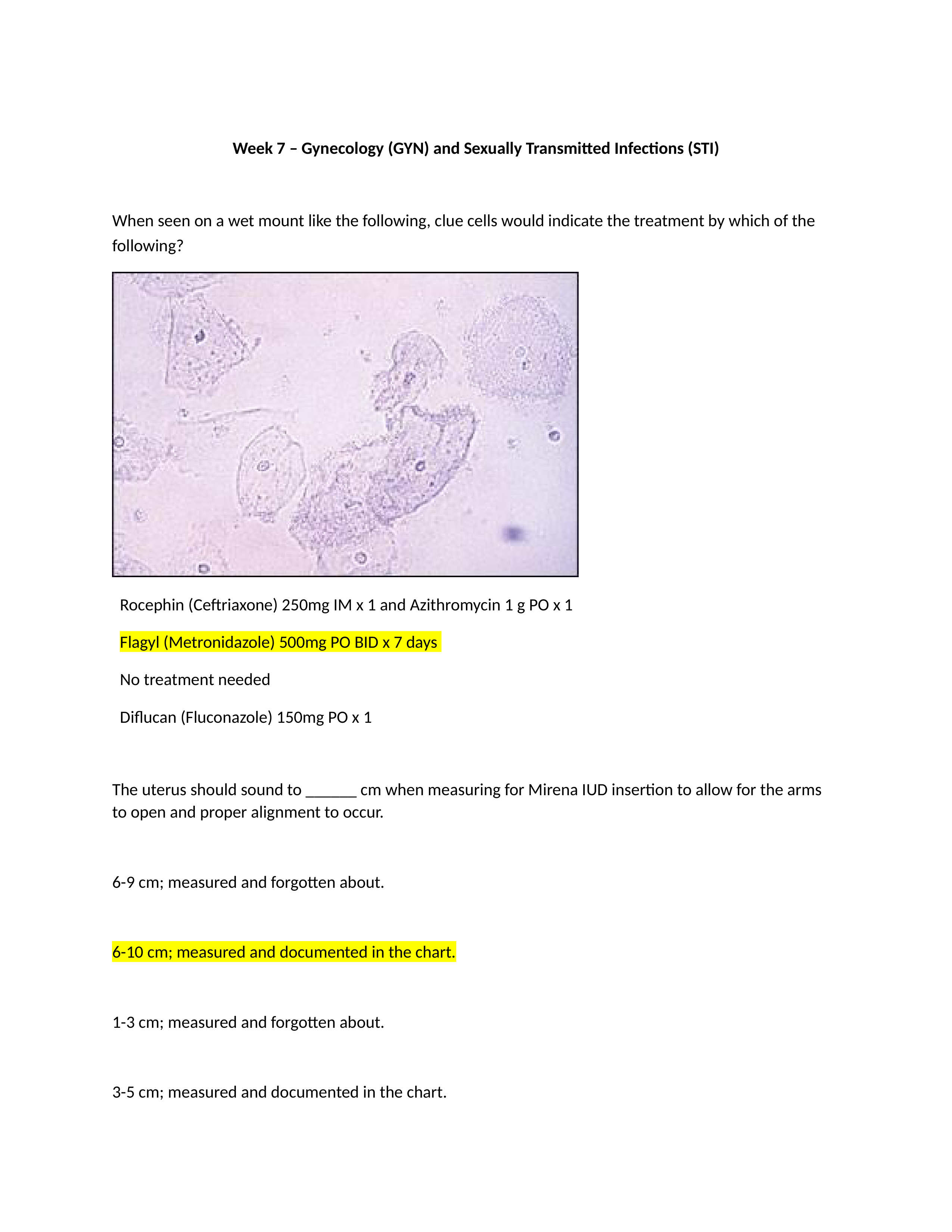 Week 7- quiz.docx_dx4utkyetxt_page1