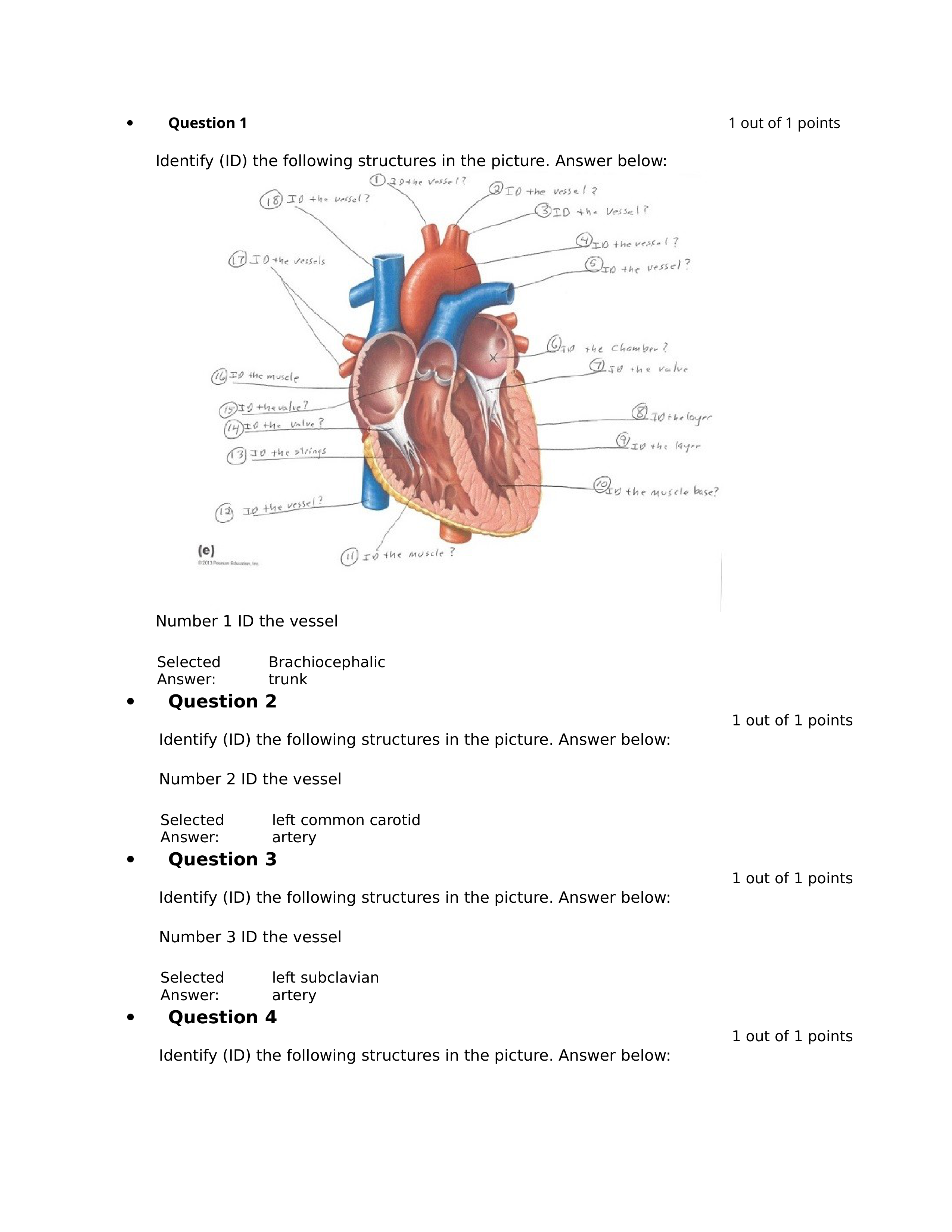 msci510quiz3.docx_dx5ffgn39u8_page1