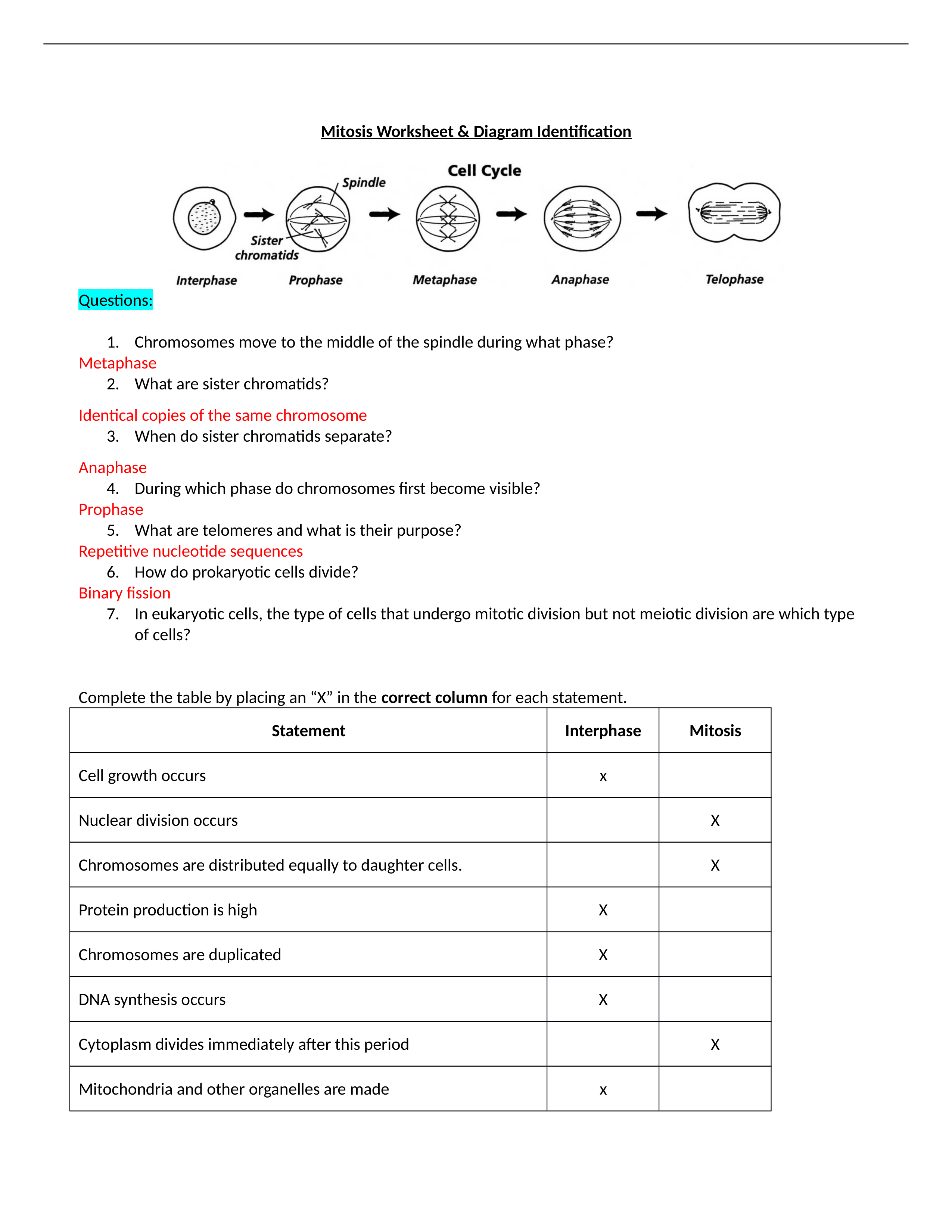 Mitosis Worksheet CH.docx_dxa3cpm5n9m_page1