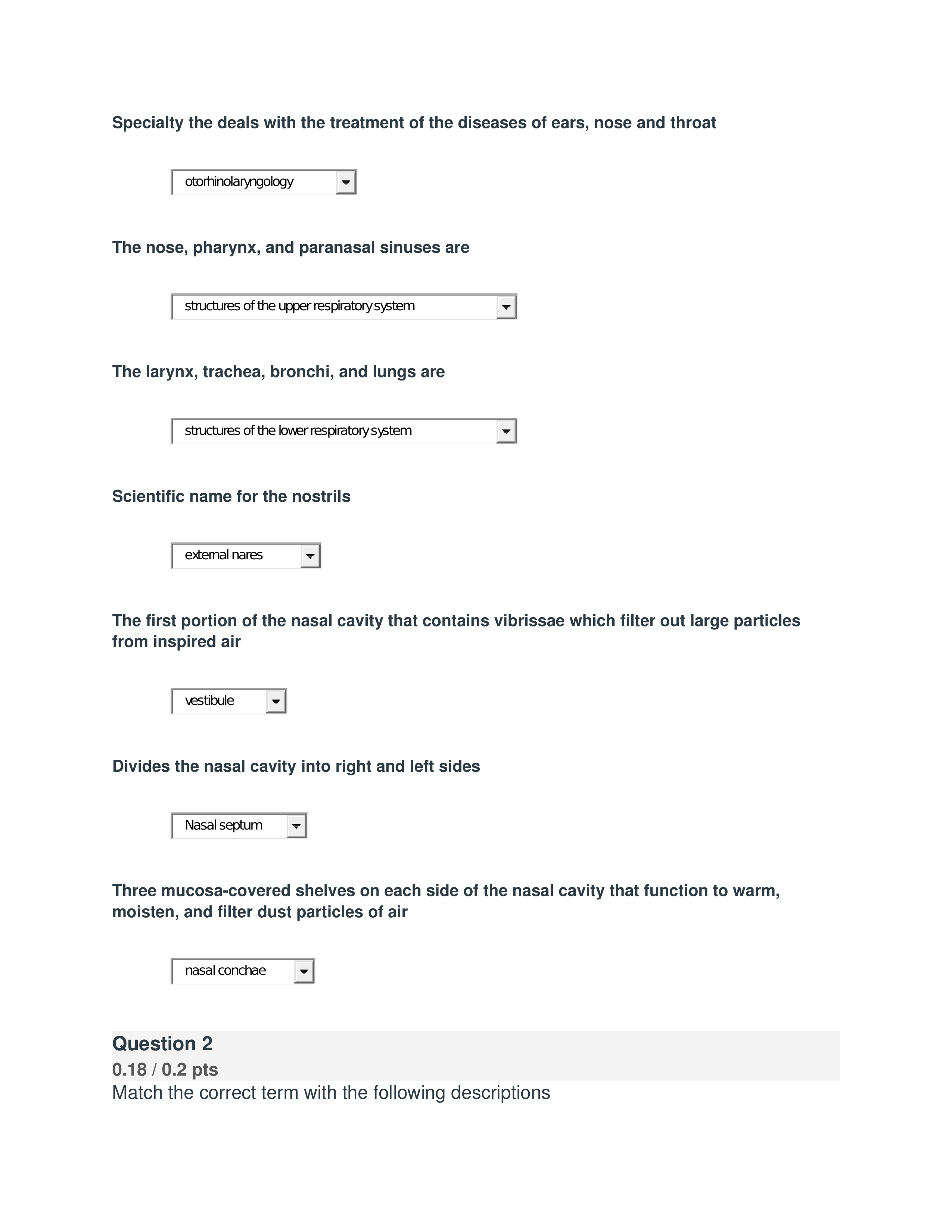 Ch 13 Respiratory System Study Guide.docx_dxp8tqkbedz_page1