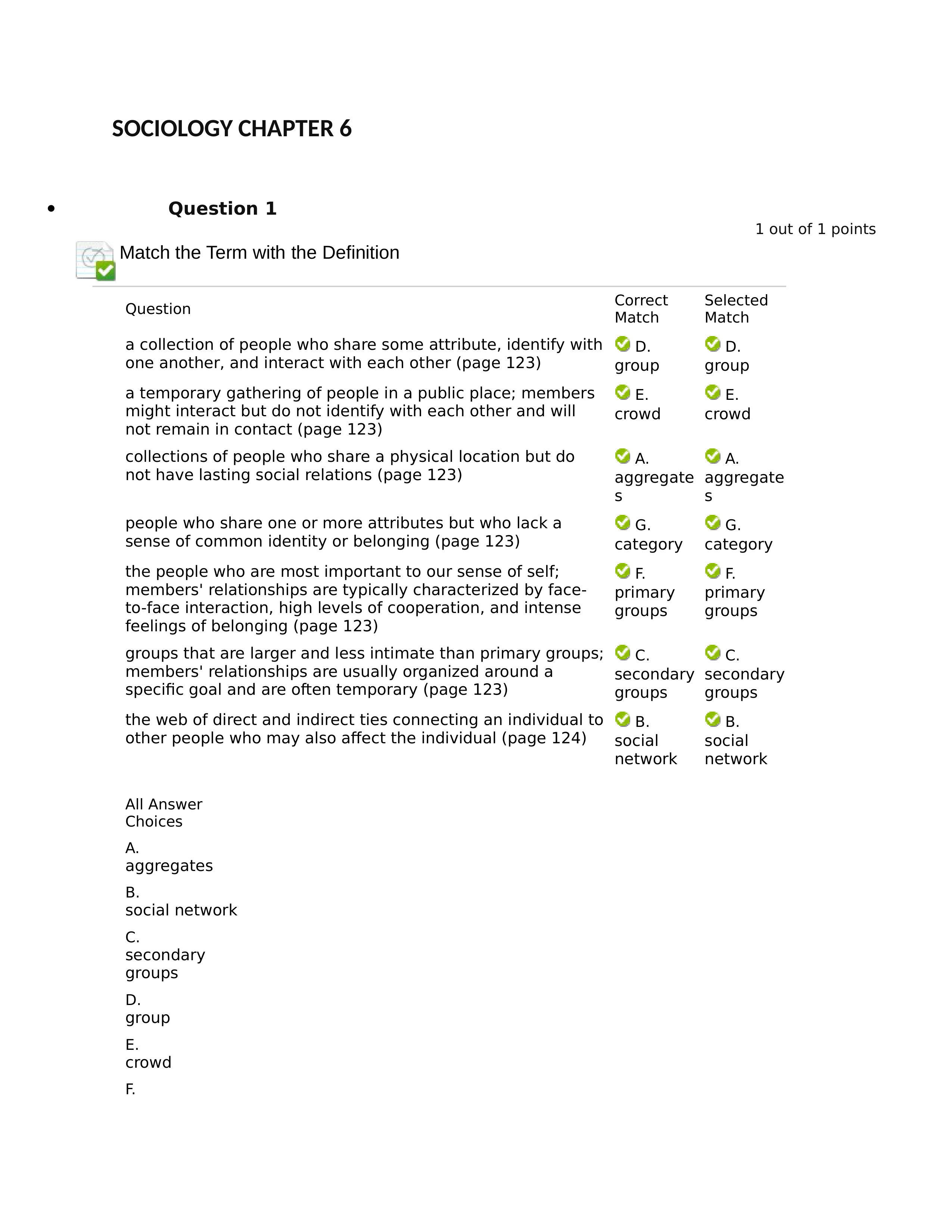 SOCIOLOGY CHAPTER 6_dxuukb90tyt_page1