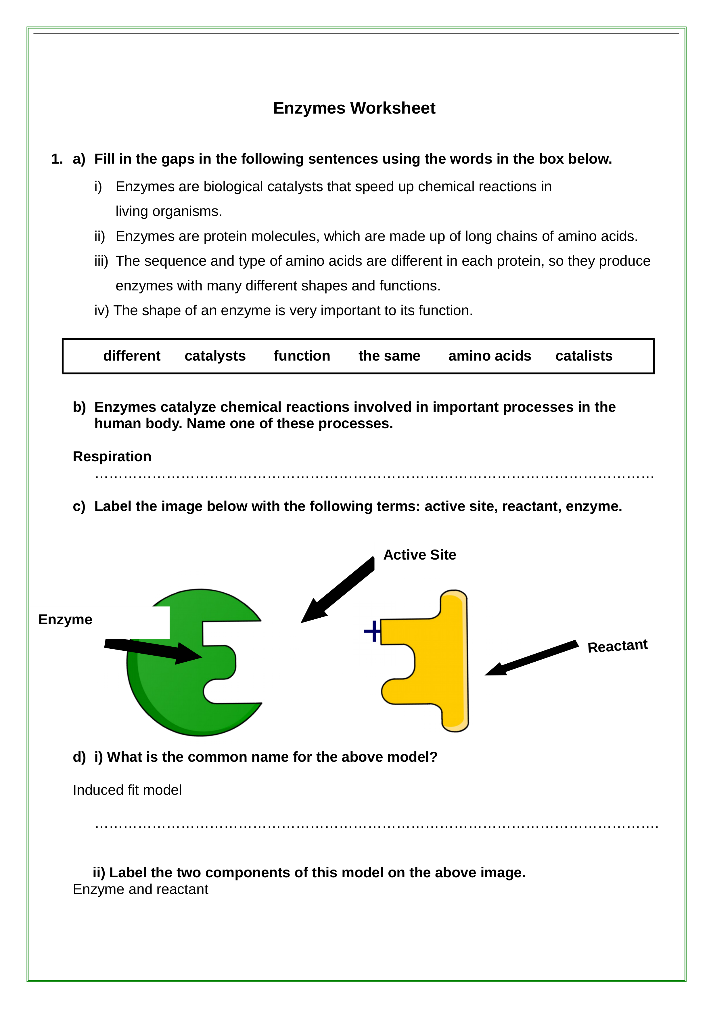 Enzymes Worksheet_dxvajhv3hst_page1