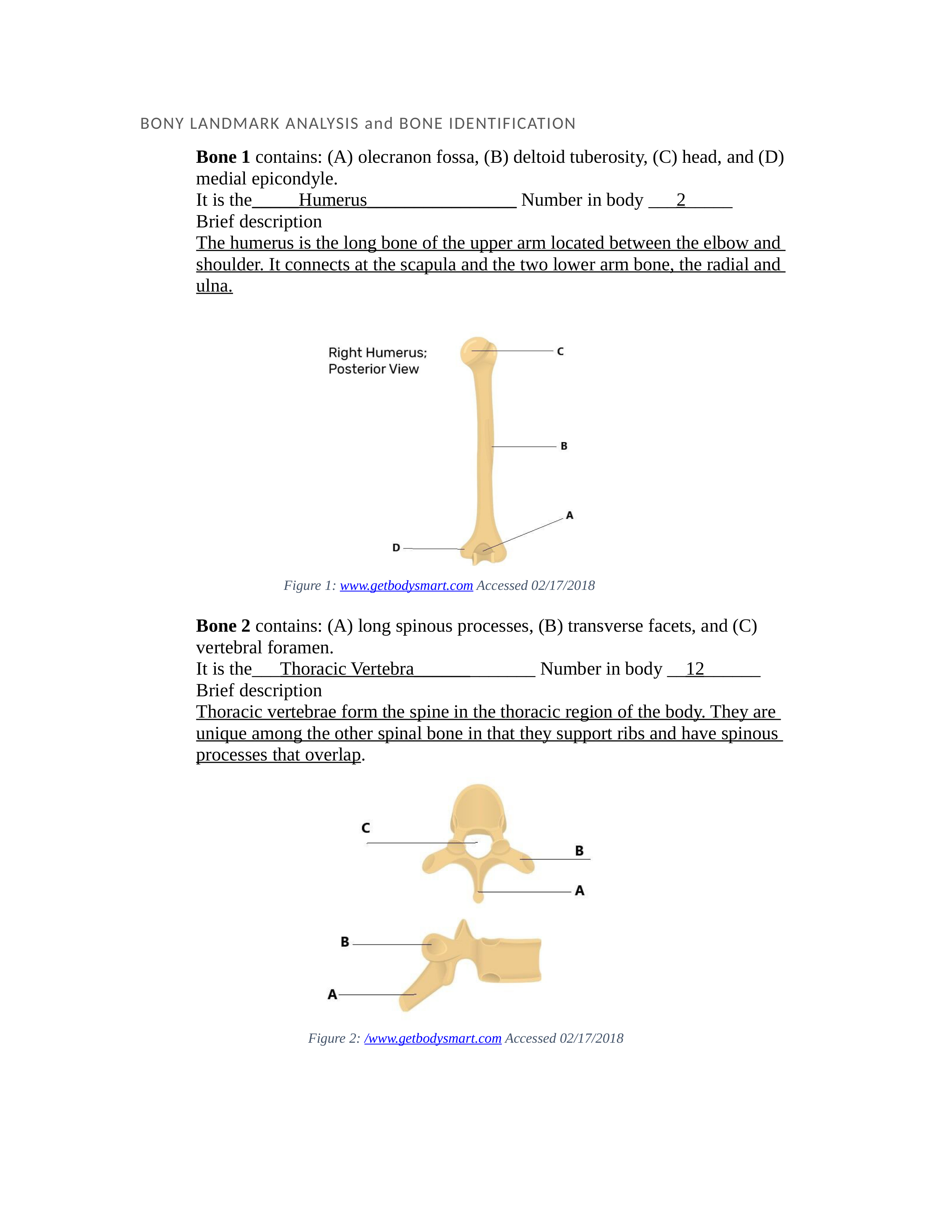 Case Study 2 - Body Landmark Analysis.docx_dxyktorrrov_page1