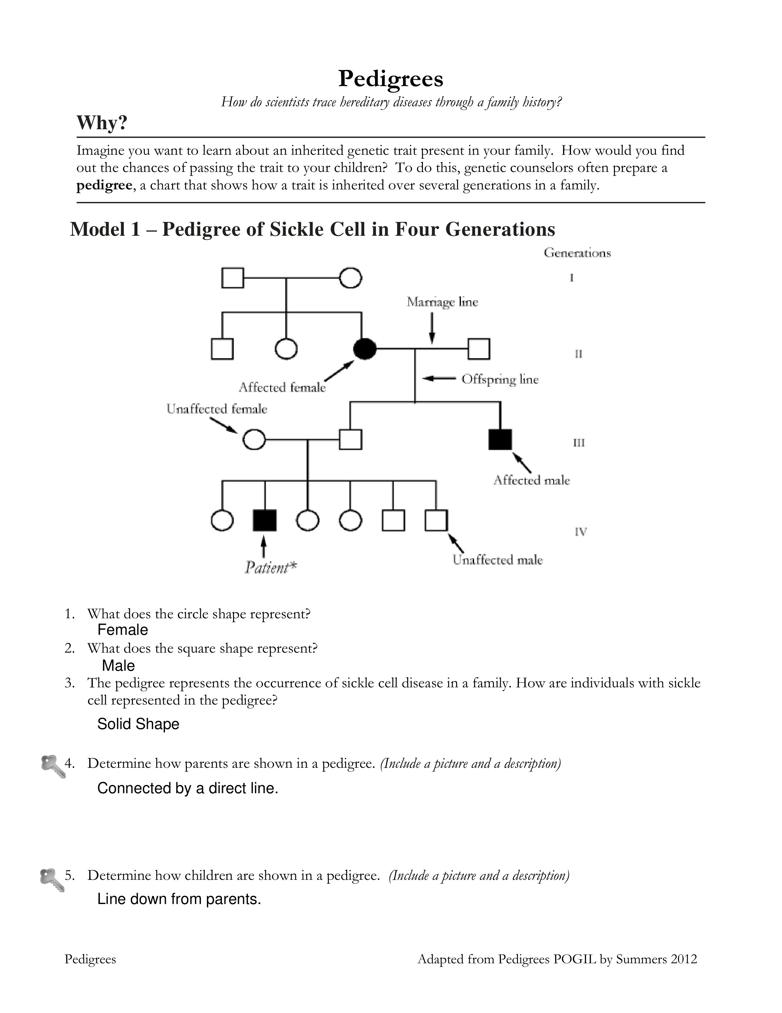 pedigree_pogil_activity_real 1.1613756162 (1).pdf_dy0rhj88hzf_page1