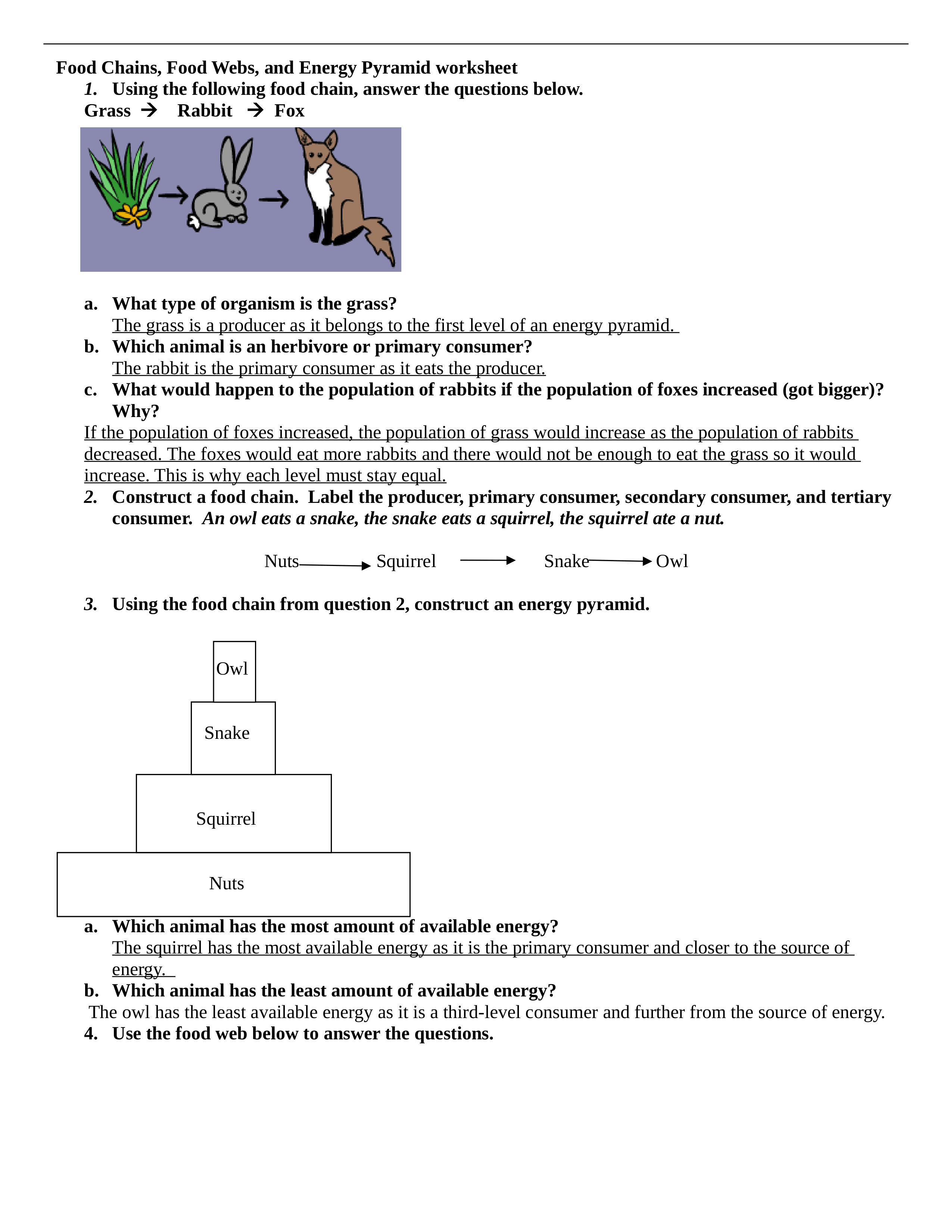 Energy Pyramid Worksheet.doc_dy90y3gpbyd_page1