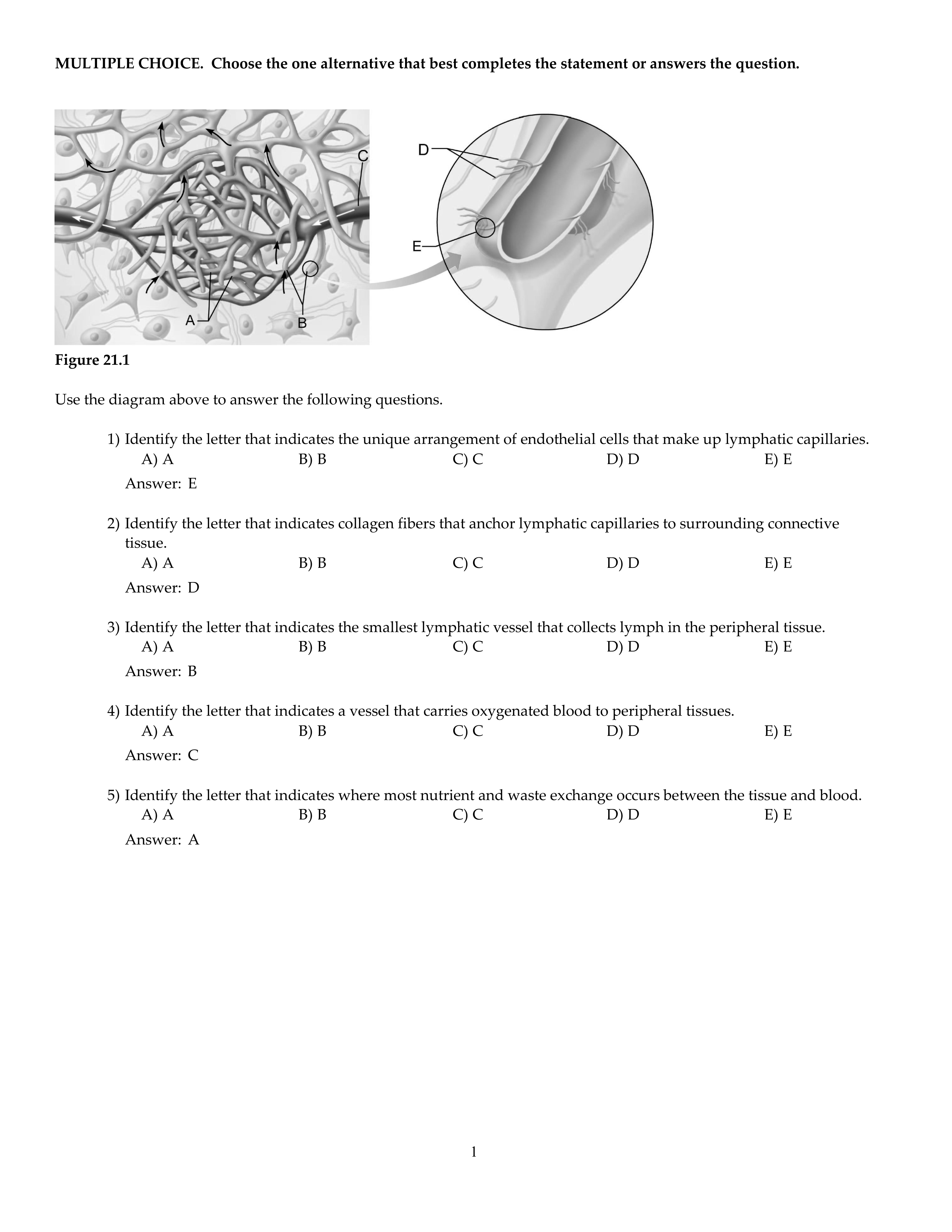 CH21.pdf_dy983mcd69a_page1