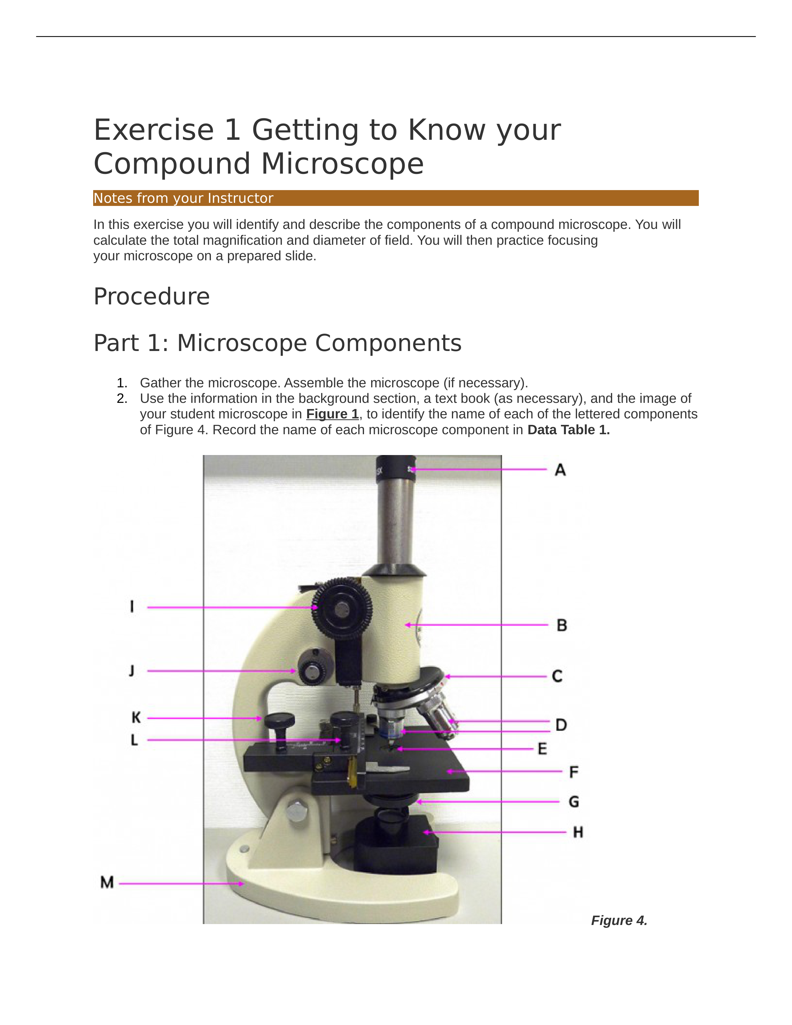 labexercise1knowyourmicroscope.docx_dyayeyo71ix_page1