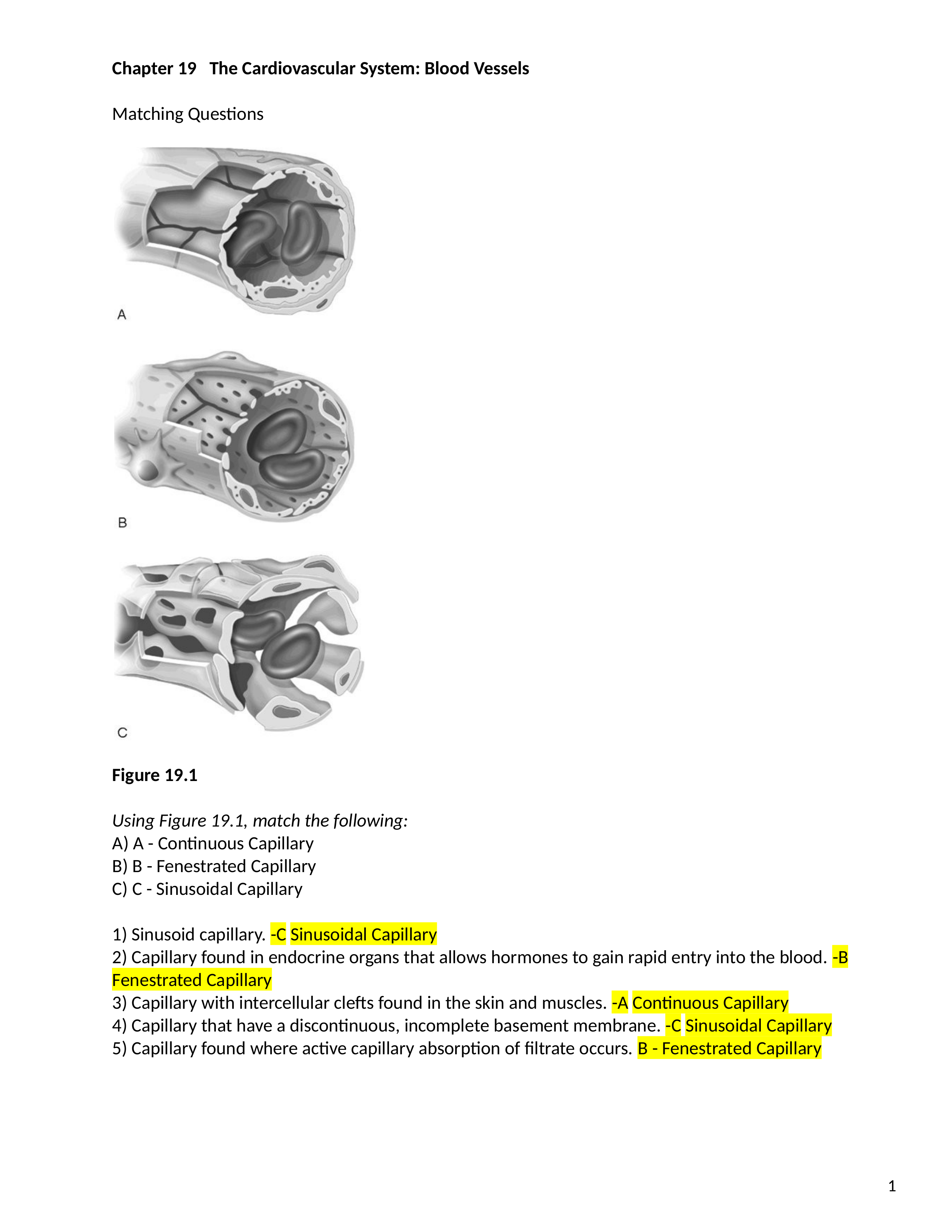 ch_19_worksheetk.docx_dyf8sqtdl38_page1