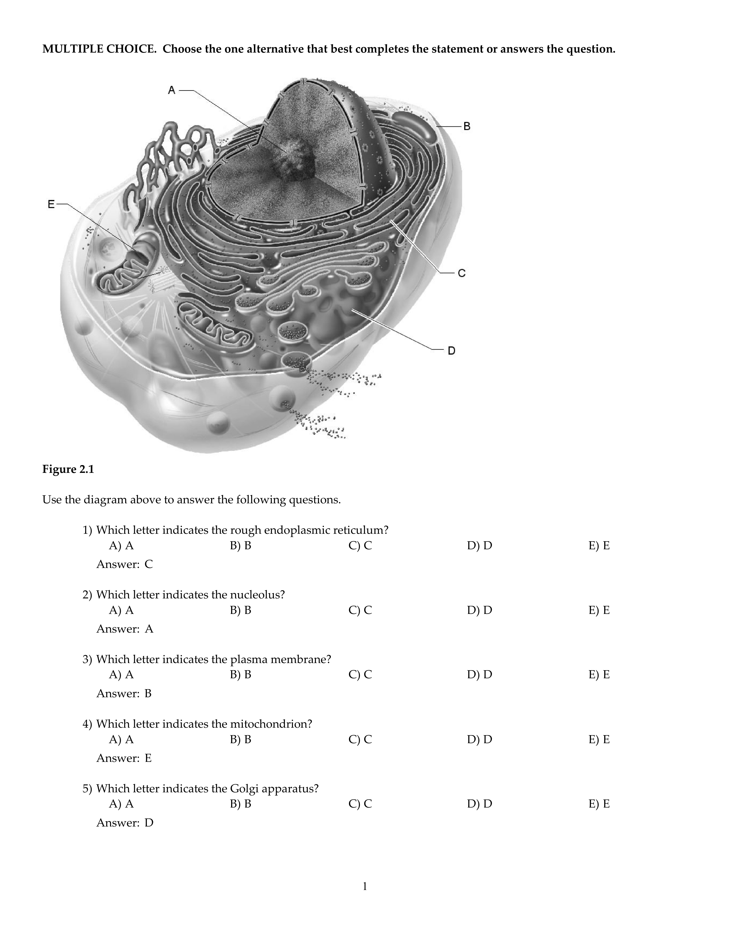 CH02.pdf_dyo1330mbft_page1