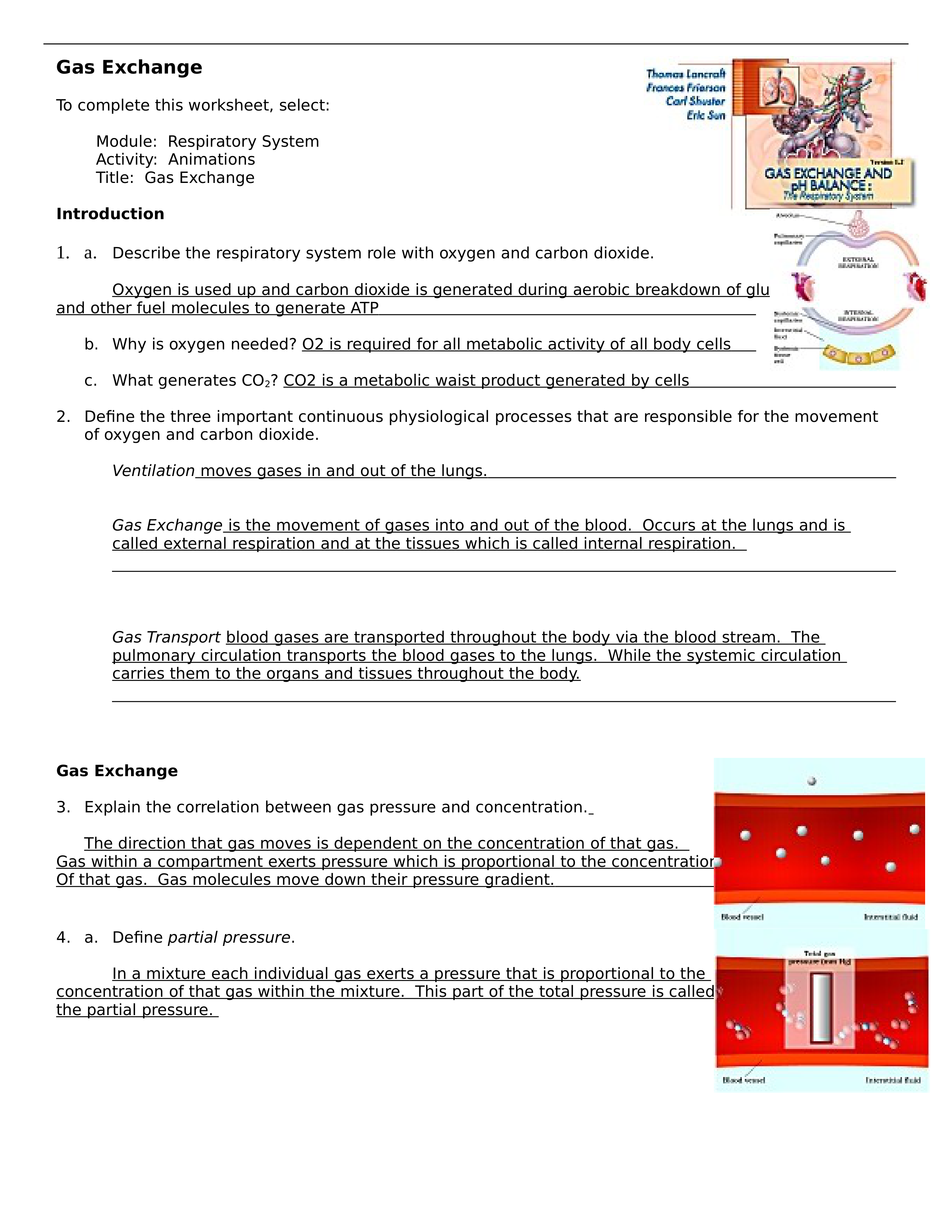 CH23+Gas+Exchange_dyrfhejvb16_page1