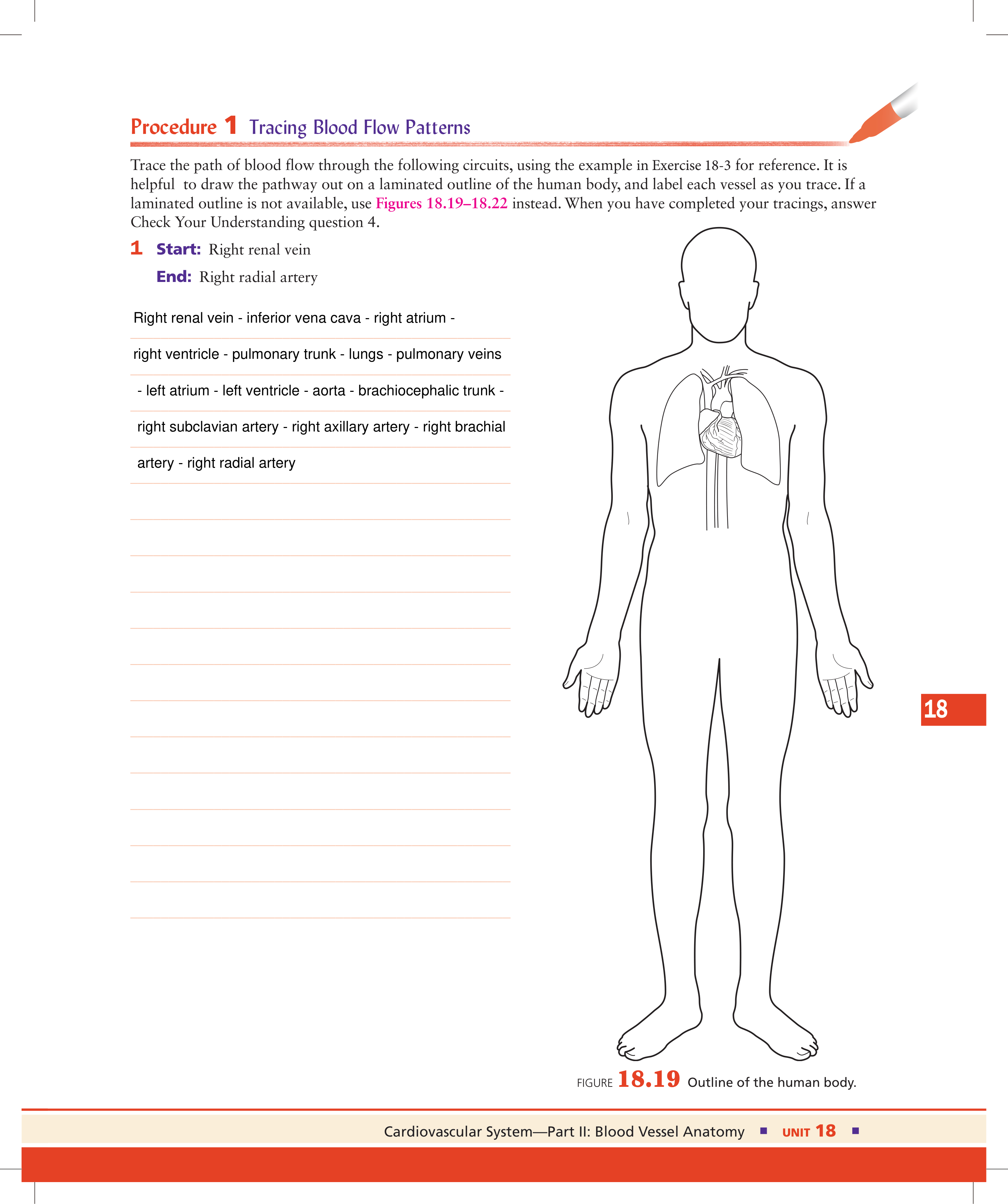 Unit 18 Exercise 18-3 Procedure 1.pdf_dyspy9ebsvw_page1