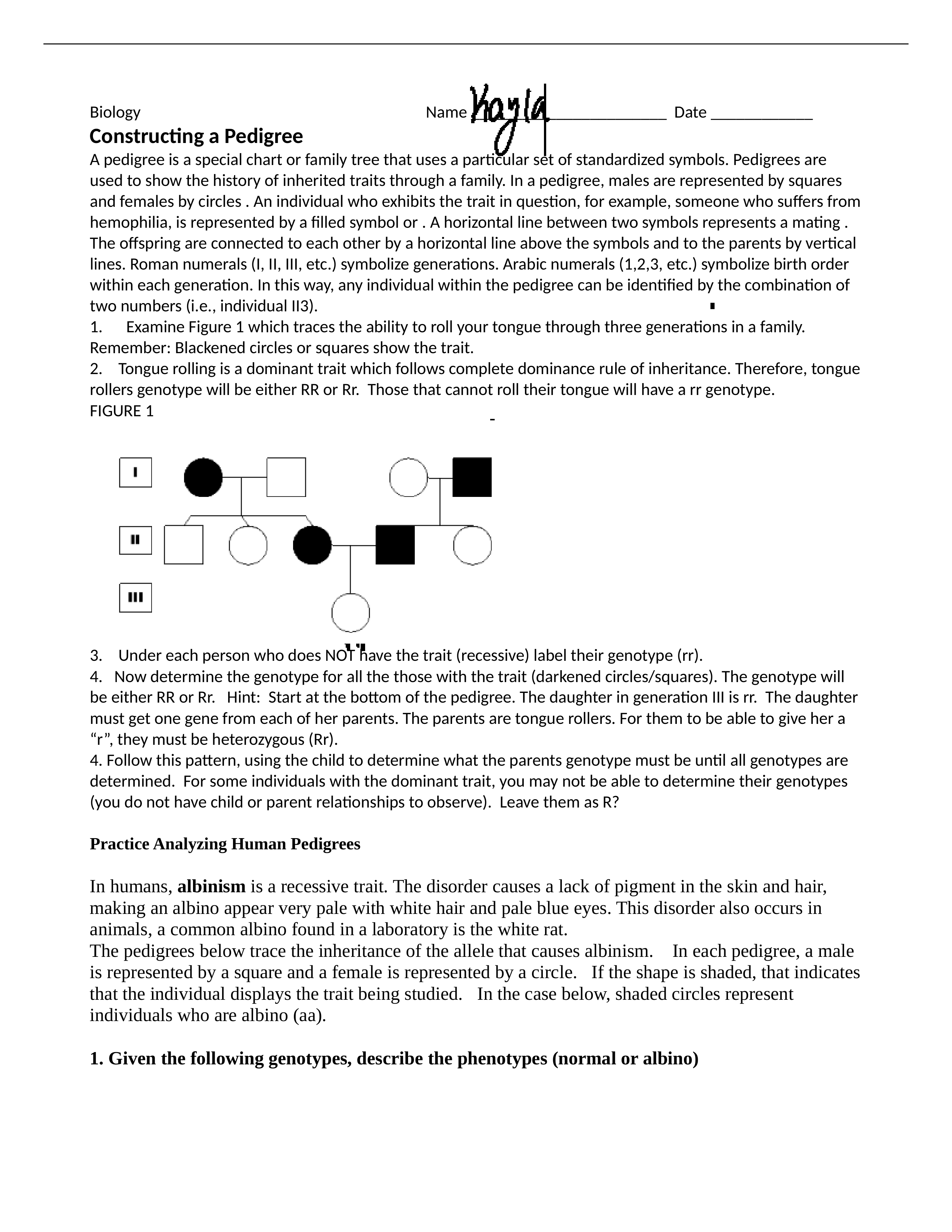 Constructing a Pedigree and Practice.docx_dyt5rbfpi2m_page1