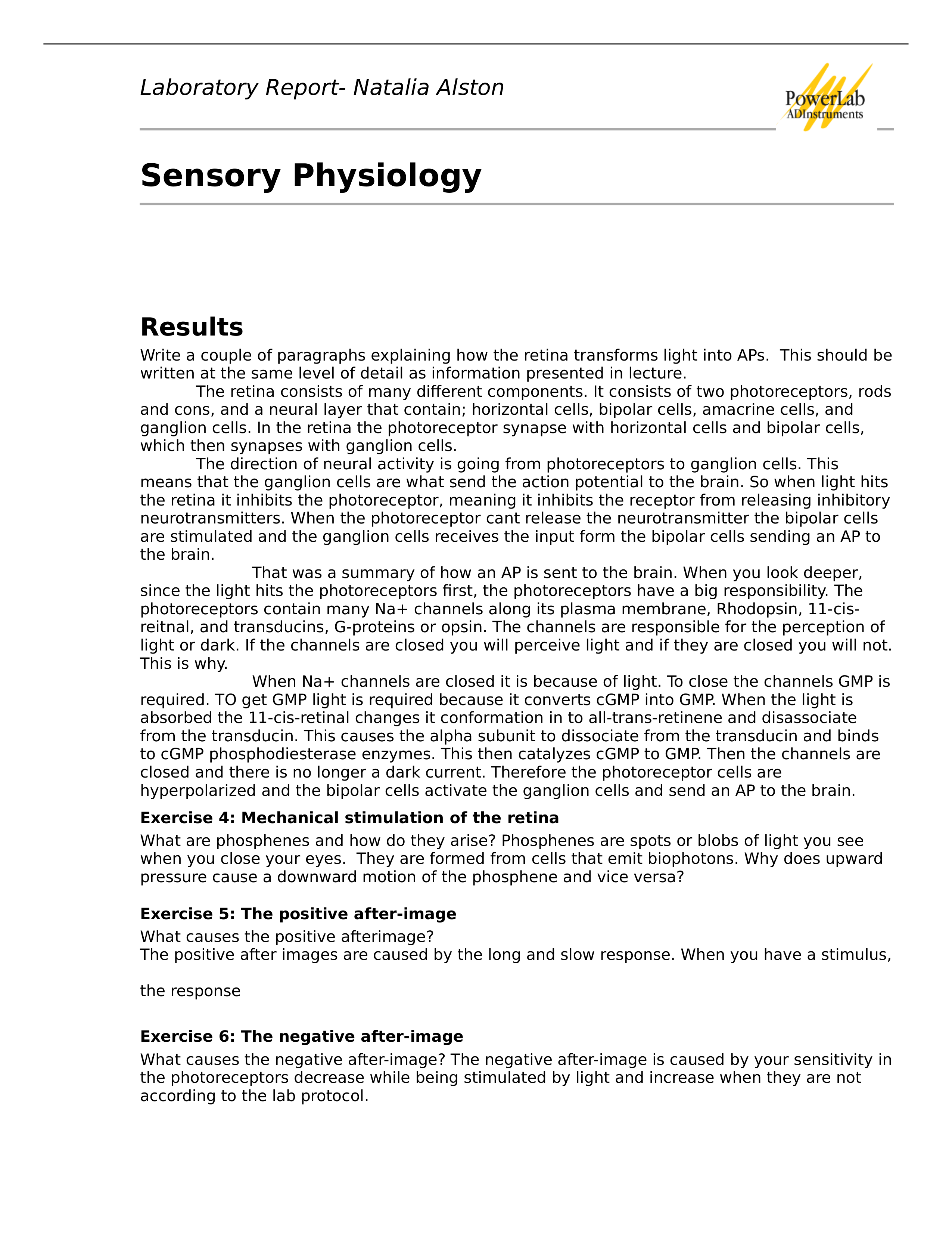 Sensory Report feb 2012-2_dyyoob4m8le_page1