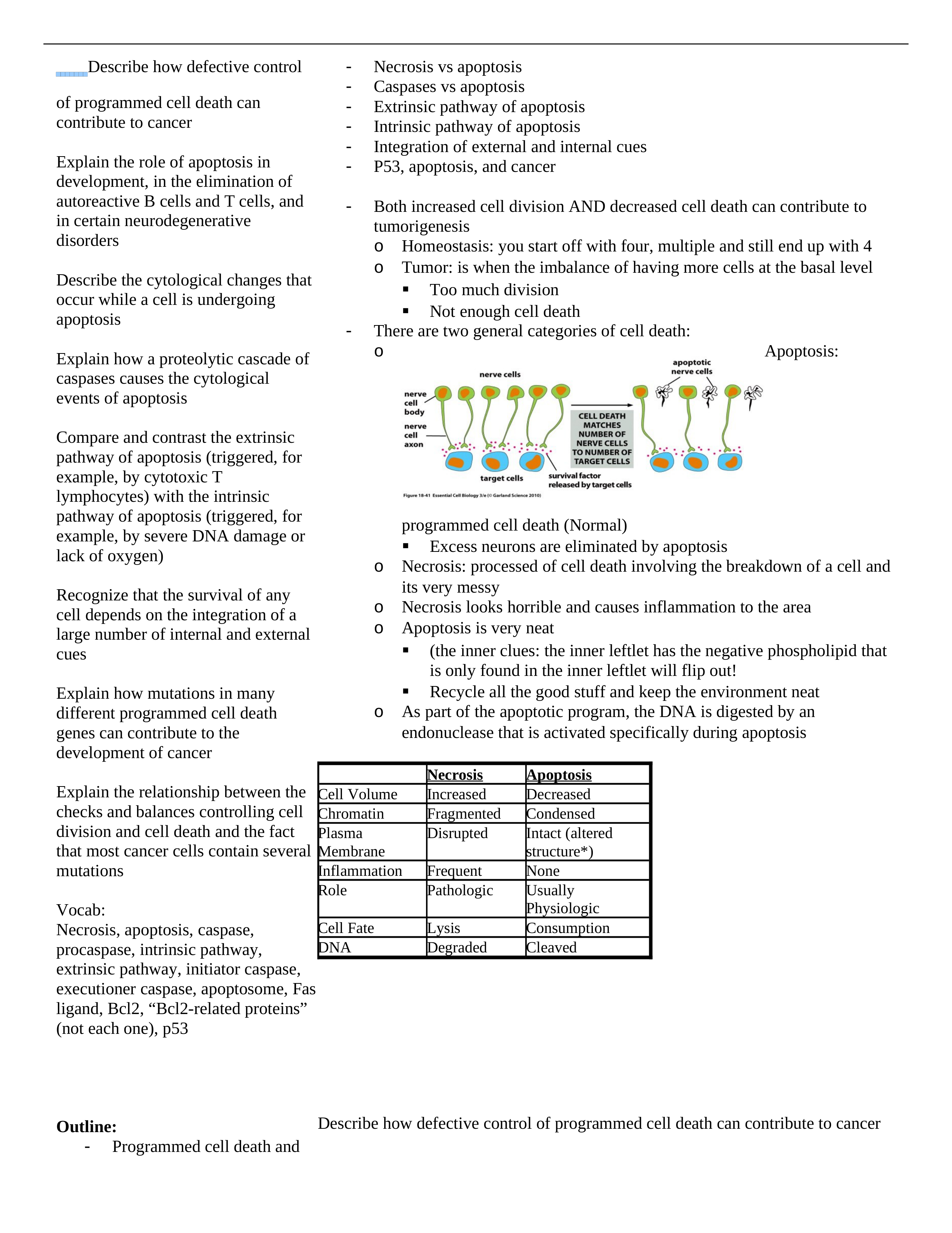 Lecture 28 Programmed Cell Death_dz4o7fkdc7f_page1