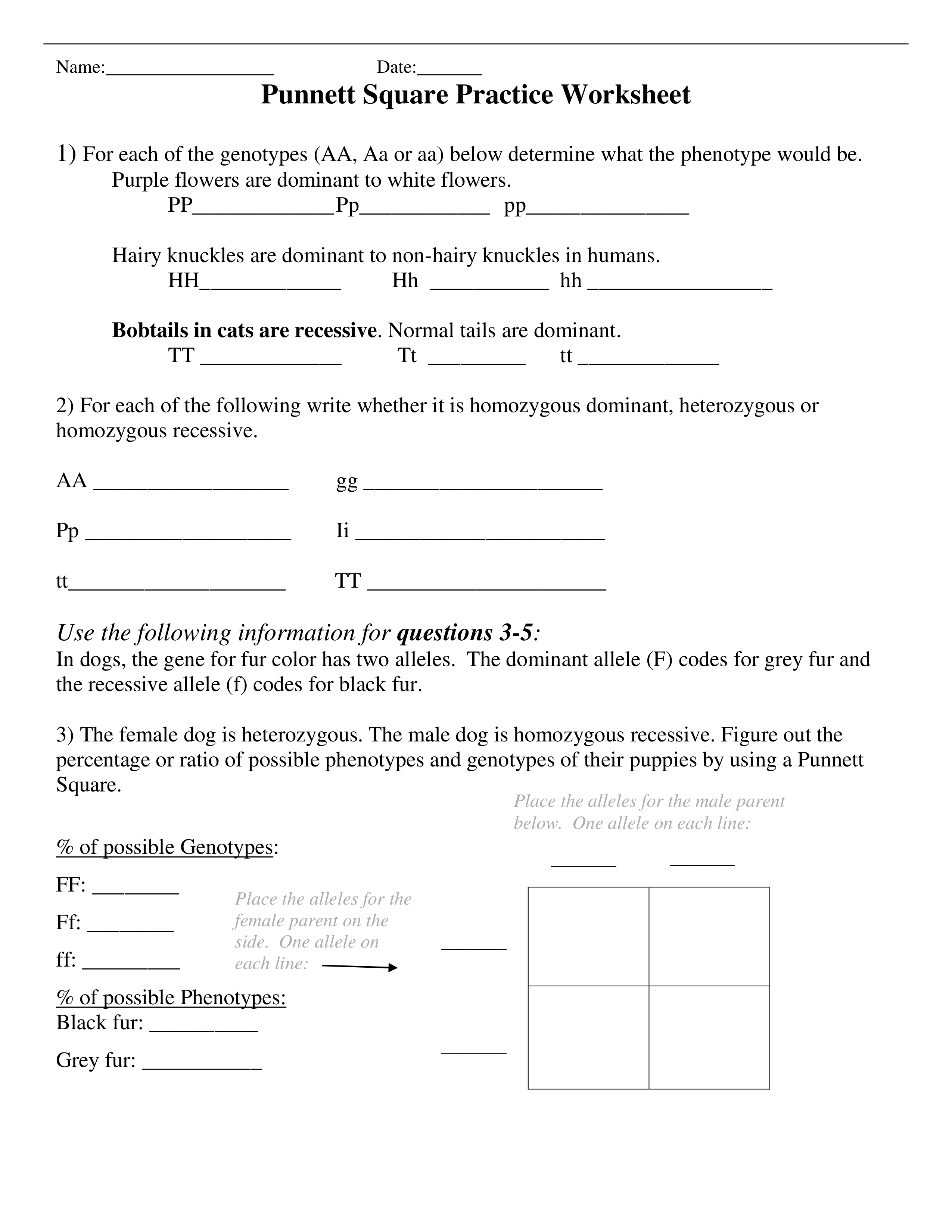 Symone_Pugh_-_Punnett_Square_Practice_Worksheet.pdf_dz5584a6ctv_page1