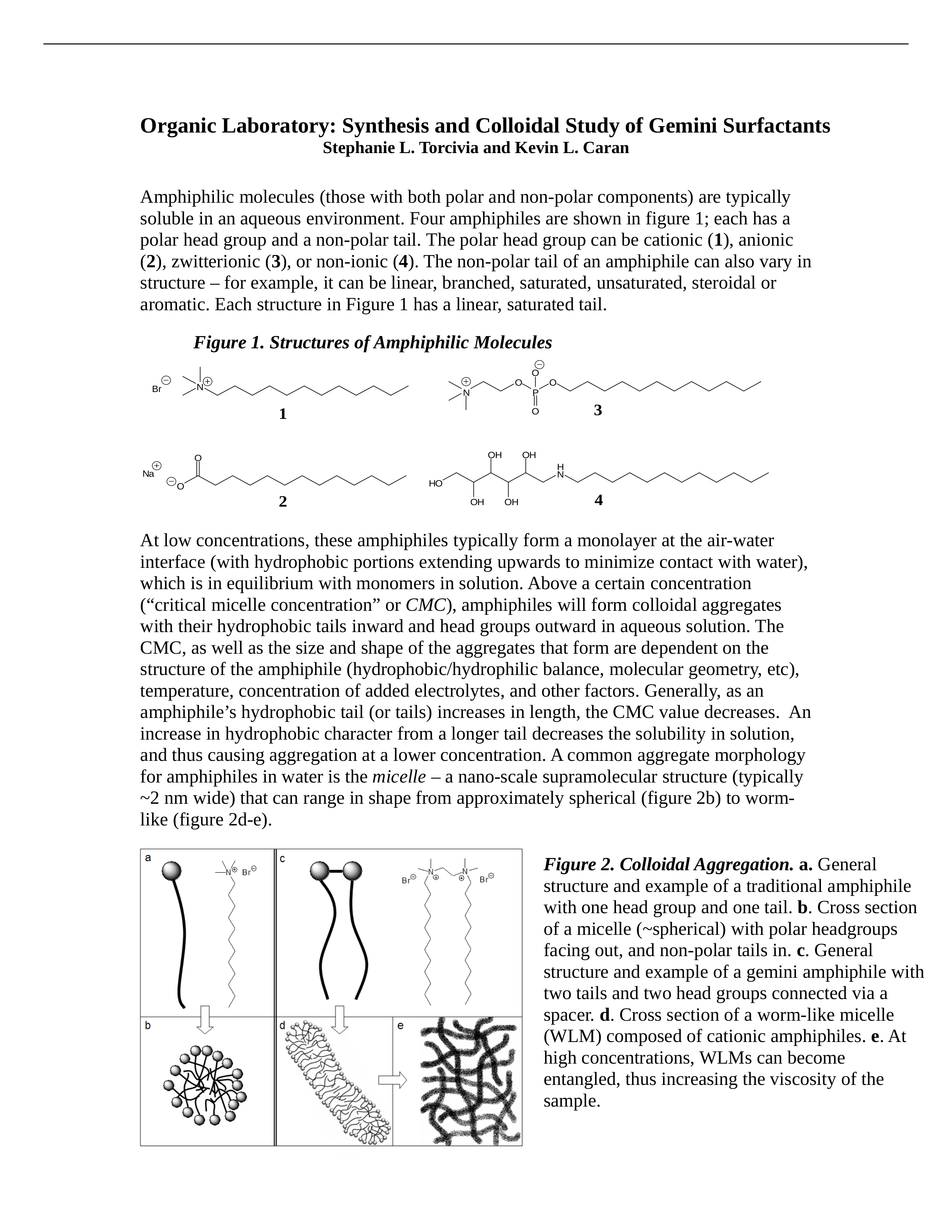 Exp 3 - Gemini Amphiphile (with alternate approaches).doc_dzece6nz2mj_page1