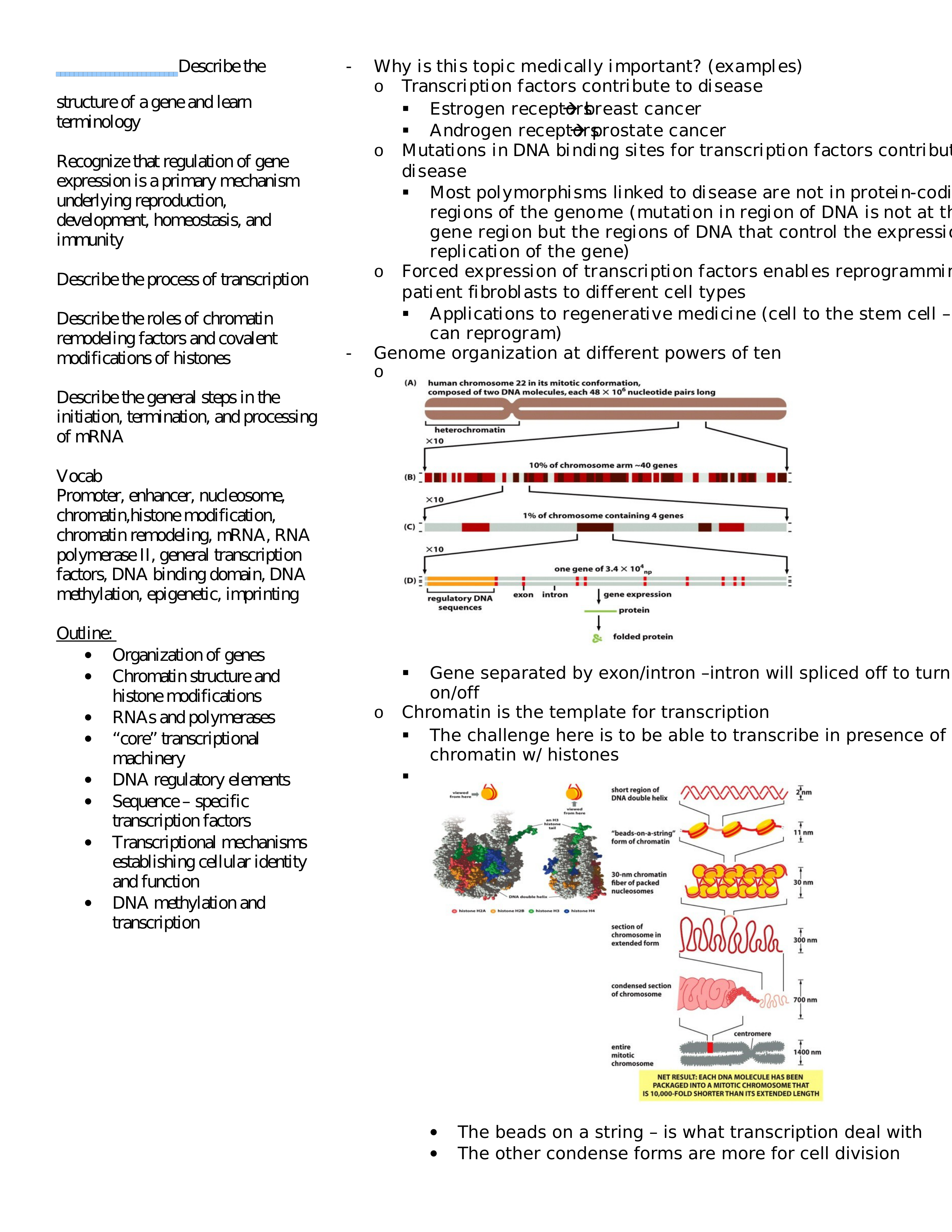 Lecture 07 Control of Transcription_dzt862aab1o_page1