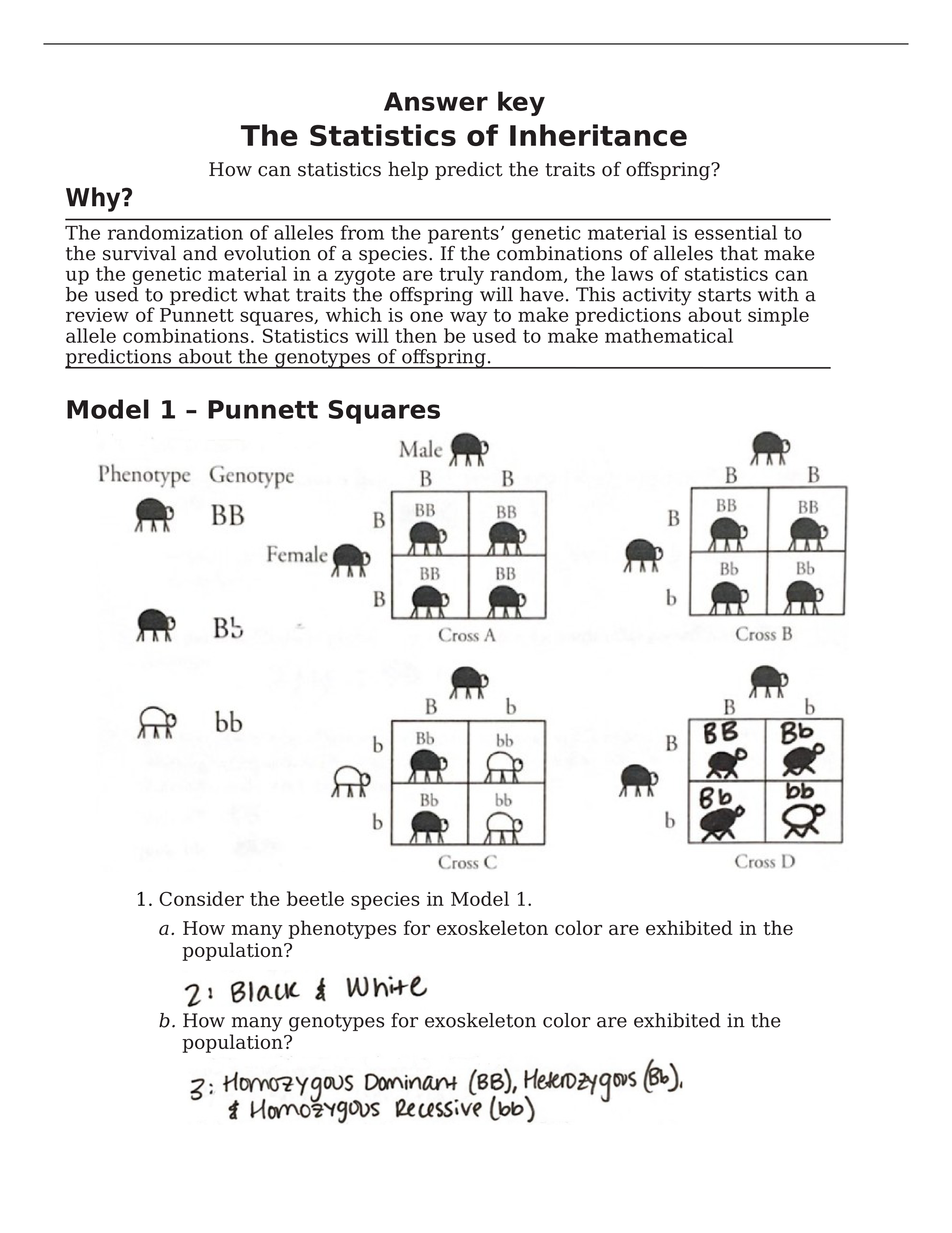 Statistics of Inheritance answers_ADAC.docx_dzv9vhh4zt9_page1