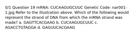 0/1 Question 19 mRNA: CUCAAGUGCUUC Genetic Code: nar001-1.jpg Refer to the illustration above. Which of the following would represent the strand of DNA from which the mRNA strand was made? a. GAGTTCACGAAG b. CUCAAGUGCUUC c. AGACCTGTAGGA d. GAGUUCACGAAG