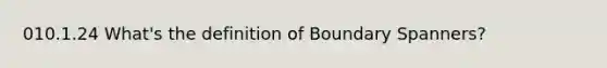 010.1.24 What's the definition of Boundary Spanners?