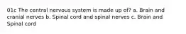 01c The central nervous system is made up of? a. Brain and cranial nerves b. Spinal cord and spinal nerves c. Brain and Spinal cord