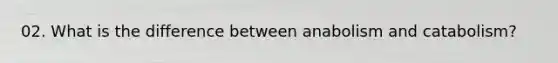 02. What is the difference between anabolism and catabolism?