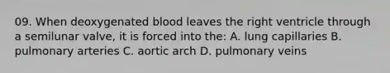 09. When deoxygenated blood leaves the right ventricle through a semilunar valve, it is forced into the: A. lung capillaries B. pulmonary arteries C. aortic arch D. pulmonary veins