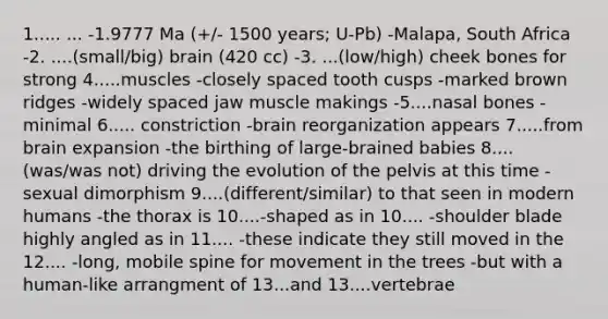 1..... ... -1.9777 Ma (+/- 1500 years; U-Pb) -Malapa, South Africa -2. ....(small/big) brain (420 cc) -3. ...(low/high) cheek bones for strong 4.....muscles -closely spaced tooth cusps -marked brown ridges -widely spaced jaw muscle makings -5....nasal bones -minimal 6..... constriction -brain reorganization appears 7.....from brain expansion -the birthing of large-brained babies 8....(was/was not) driving the evolution of the pelvis at this time -sexual dimorphism 9....(different/similar) to that seen in modern humans -the thorax is 10....-shaped as in 10.... -shoulder blade highly angled as in 11.... -these indicate they still moved in the 12.... -long, mobile spine for movement in the trees -but with a human-like arrangment of 13...and 13....vertebrae