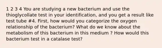 1 2 3 4 You are studying a new bacterium and use the thioglycollate test in your identification, and you get a result like test tube #4. First, how would you categorize the oxygen relationship of the bacterium? What do we know about the metabolism of this bacterium in this medium ? How would this bacterium test in a catalase test?