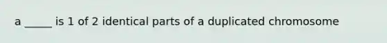 a _____ is 1 of 2 identical parts of a duplicated chromosome