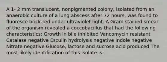 A 1- 2 mm translucent, nonpigmented colony, isolated from an anaerobic culture of a lung abscess after 72 hours, was found to fluoresce brick-red under ultraviolet light. A Gram stained smear of the organism revealed a coccobacillus that had the following characteristics: Growth in bile inhibited Vancomycin resistant Catalase negative Esculin hydrolysis negative Indole negative Nitrate negative Glucose, lactose and sucrose acid produced The most likely identification of this isolate is: