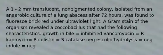 A 1 - 2 mm translucent, nonpigmented colony, isolated from an anaerobic culture of a lung abscess after 72 hours, was found to fluoresce brick-red under ultraviolet light. A Gram stain of the organism revealed a coccobacillus that had the following characteristics: growth in bile = inhibitied vancomyocin = R kanmycin= R colistin = S catalase neg esculin hydrolysis = neg indole = neg