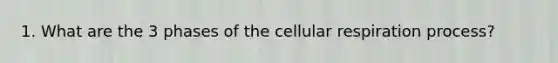 1. What are the 3 phases of the cellular respiration process?