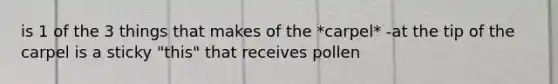 is 1 of the 3 things that makes of the *carpel* -at the tip of the carpel is a sticky "this" that receives pollen
