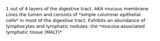 1 out of 4 layers of the digestive tract. AKA mucous membrane Lines the lumen and consists of *simple columnar epithelial cells* in most of the digestive tract. Exhibits an abundance of lymphocytes and lymphatic nodules: the *mucosa-associated lymphatic tissue (MALT)*