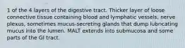 1 of the 4 layers of the digestive tract. Thicker layer of loose connective tissue containing blood and lymphatic vessels, nerve plexus, sometimes mucus-secreting glands that dump lubricating mucus into the lumen. MALT extends into submucosa and some parts of the GI tract.