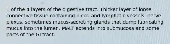 1 of the 4 layers of the digestive tract. Thicker layer of loose connective tissue containing blood and lymphatic vessels, nerve plexus, sometimes mucus-secreting glands that dump lubricating mucus into the lumen. MALT extends into submucosa and some parts of the GI tract.