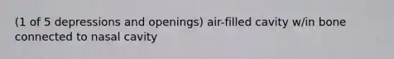 (1 of 5 depressions and openings) air-filled cavity w/in bone connected to nasal cavity