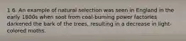 1 6. An example of natural selection was seen in England in the early 1800s when soot from coal-burning power factories darkened the bark of the trees, resulting in a decrease in light-colored moths.